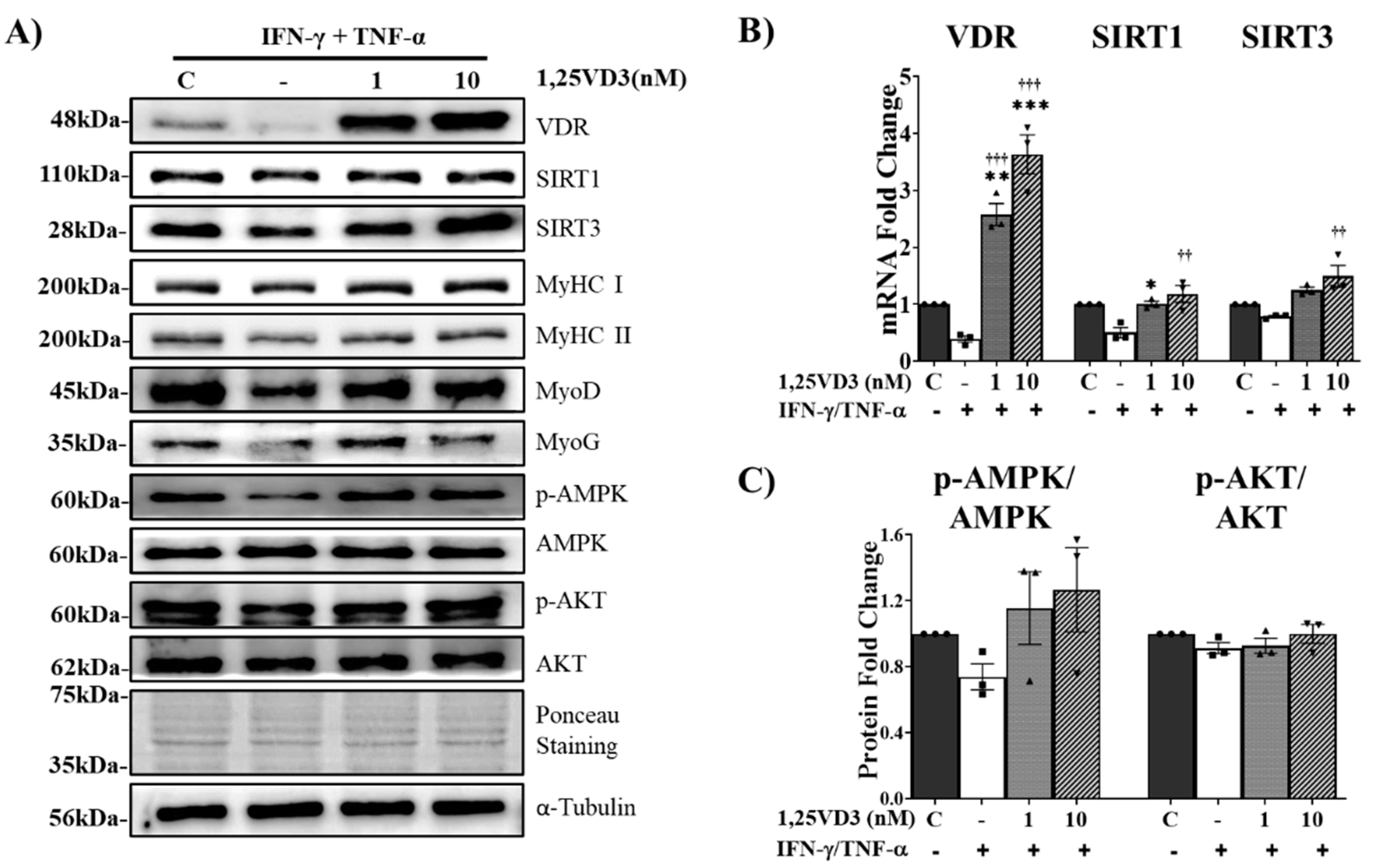 Preprints 85783 g005