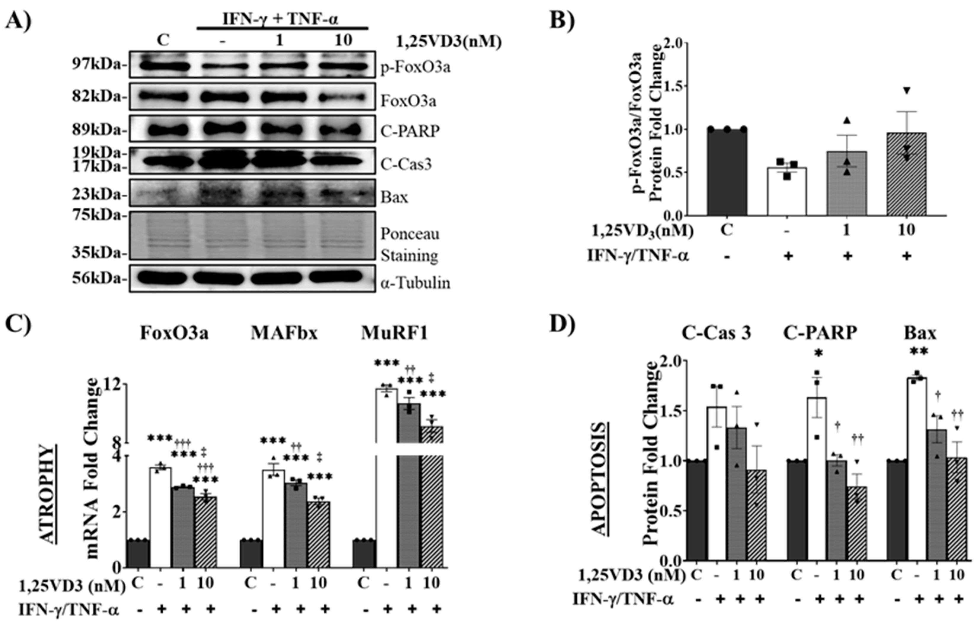 Preprints 85783 g006