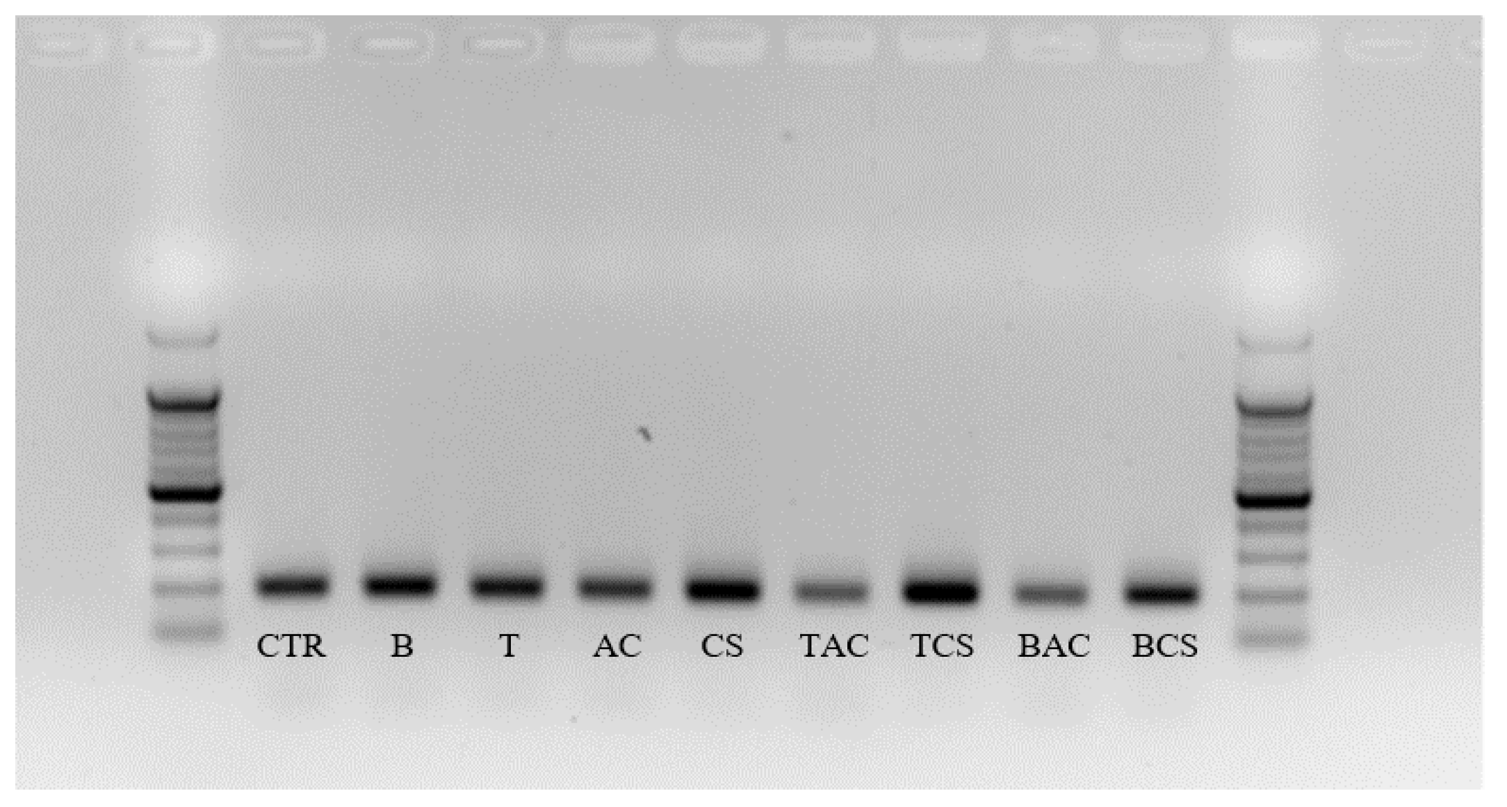 Preprints 115584 g006