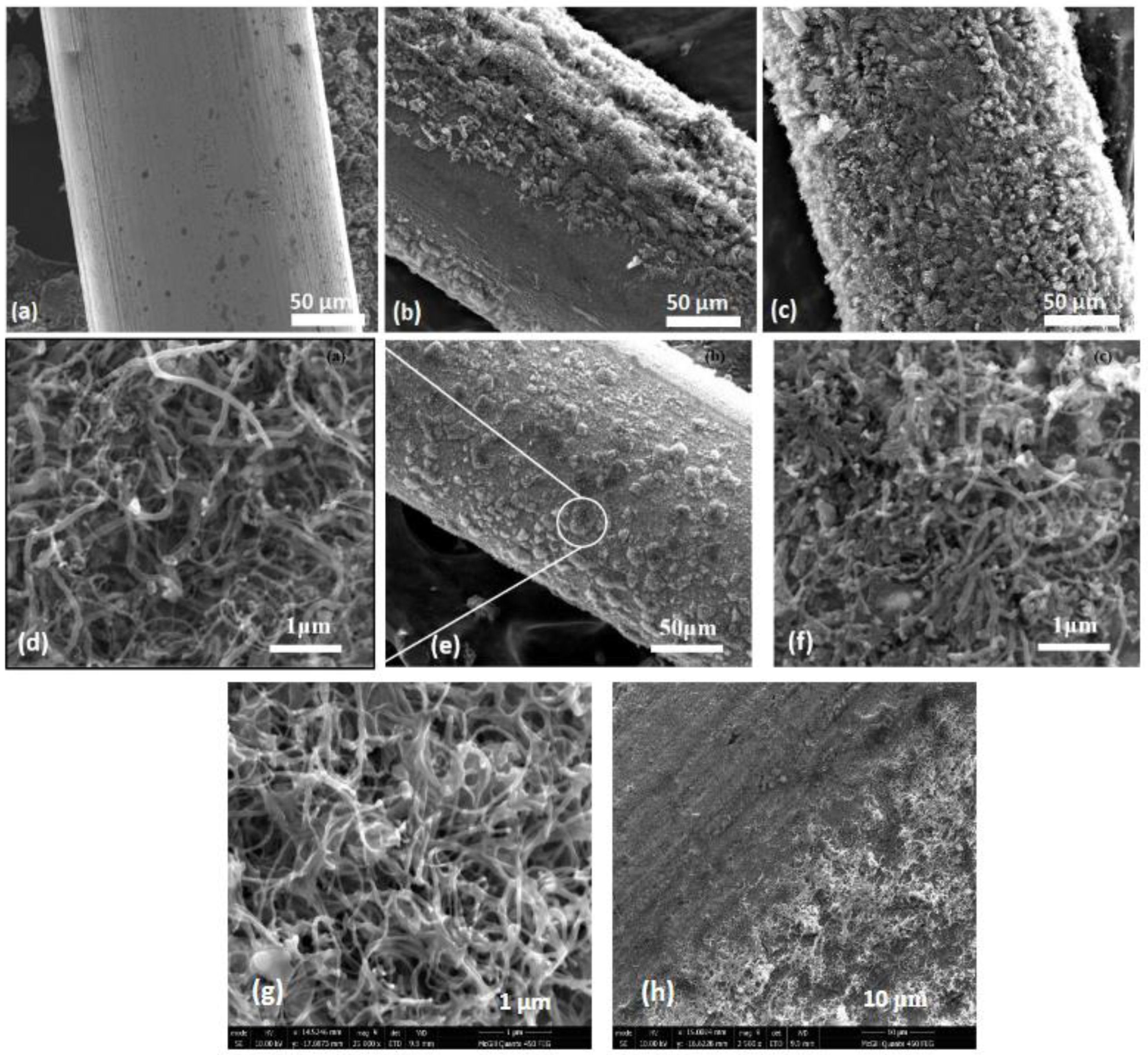 Preprints 91435 g008