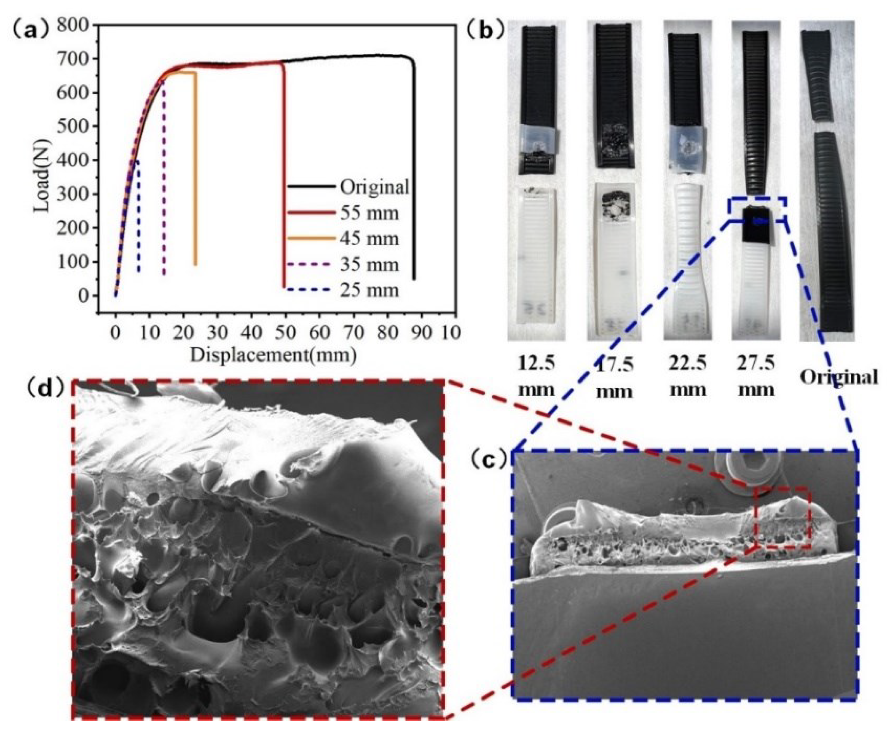 Preprints 92870 g007