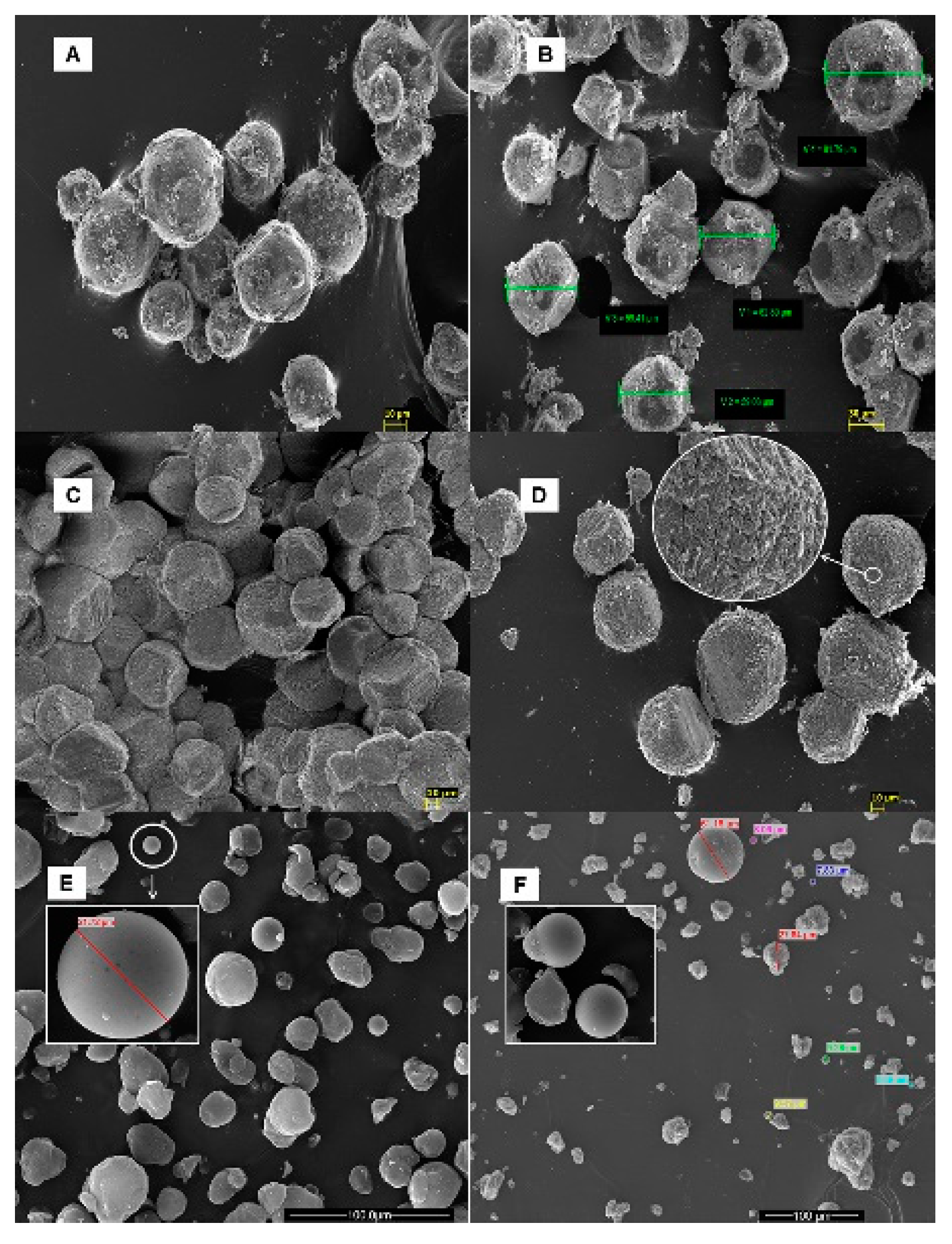 Preprints 76603 g002