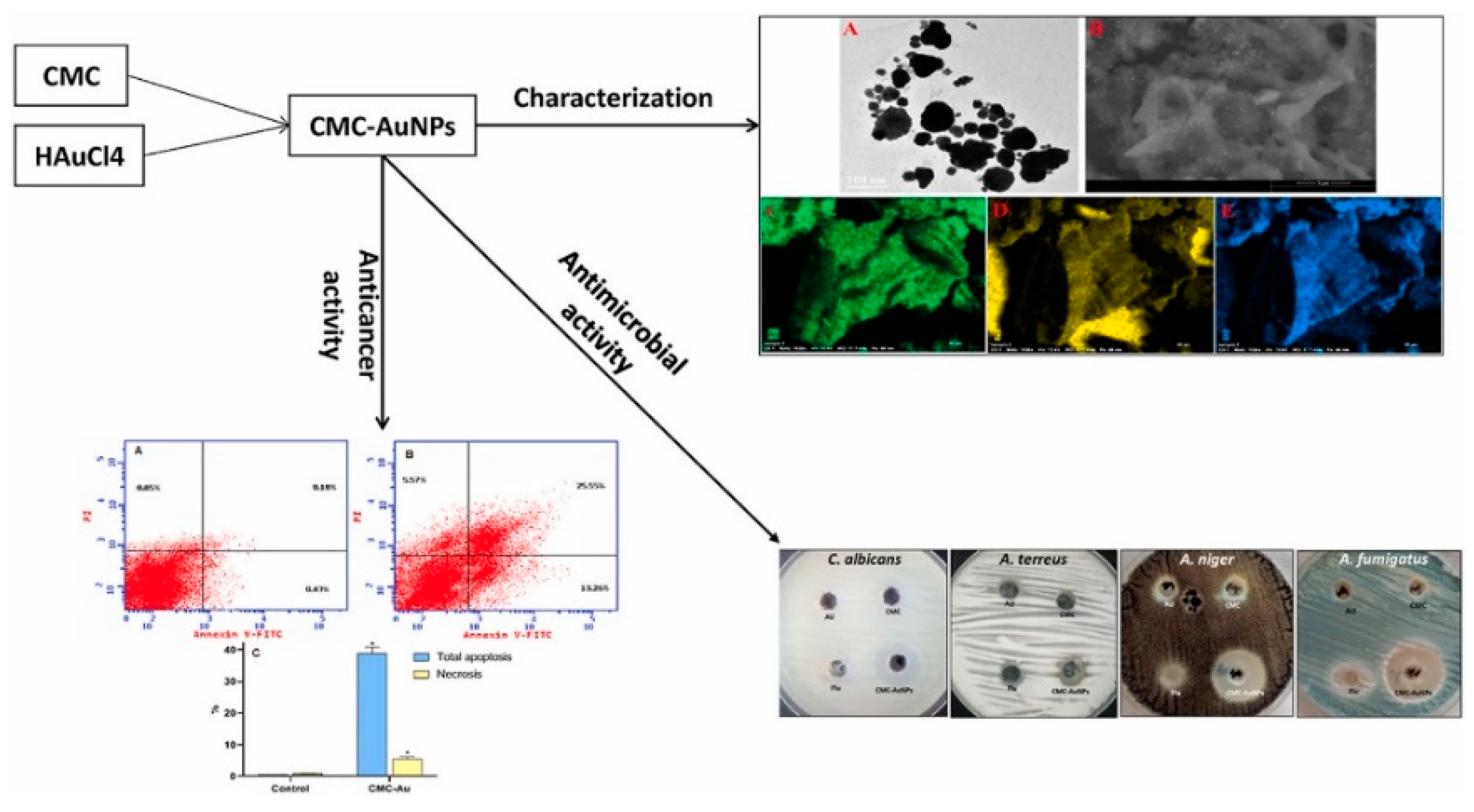 Preprints 76603 g005