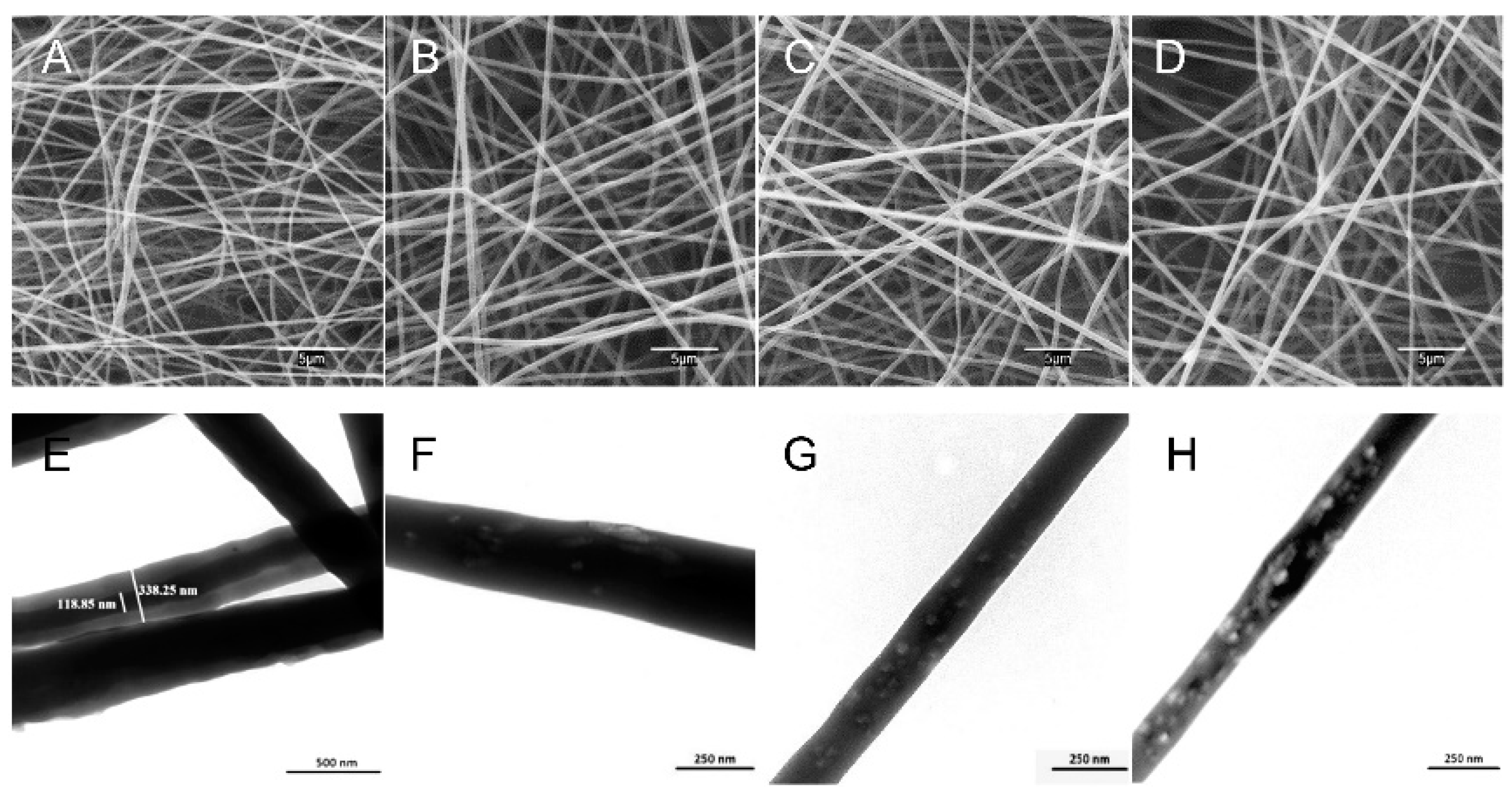 Preprints 76603 g006