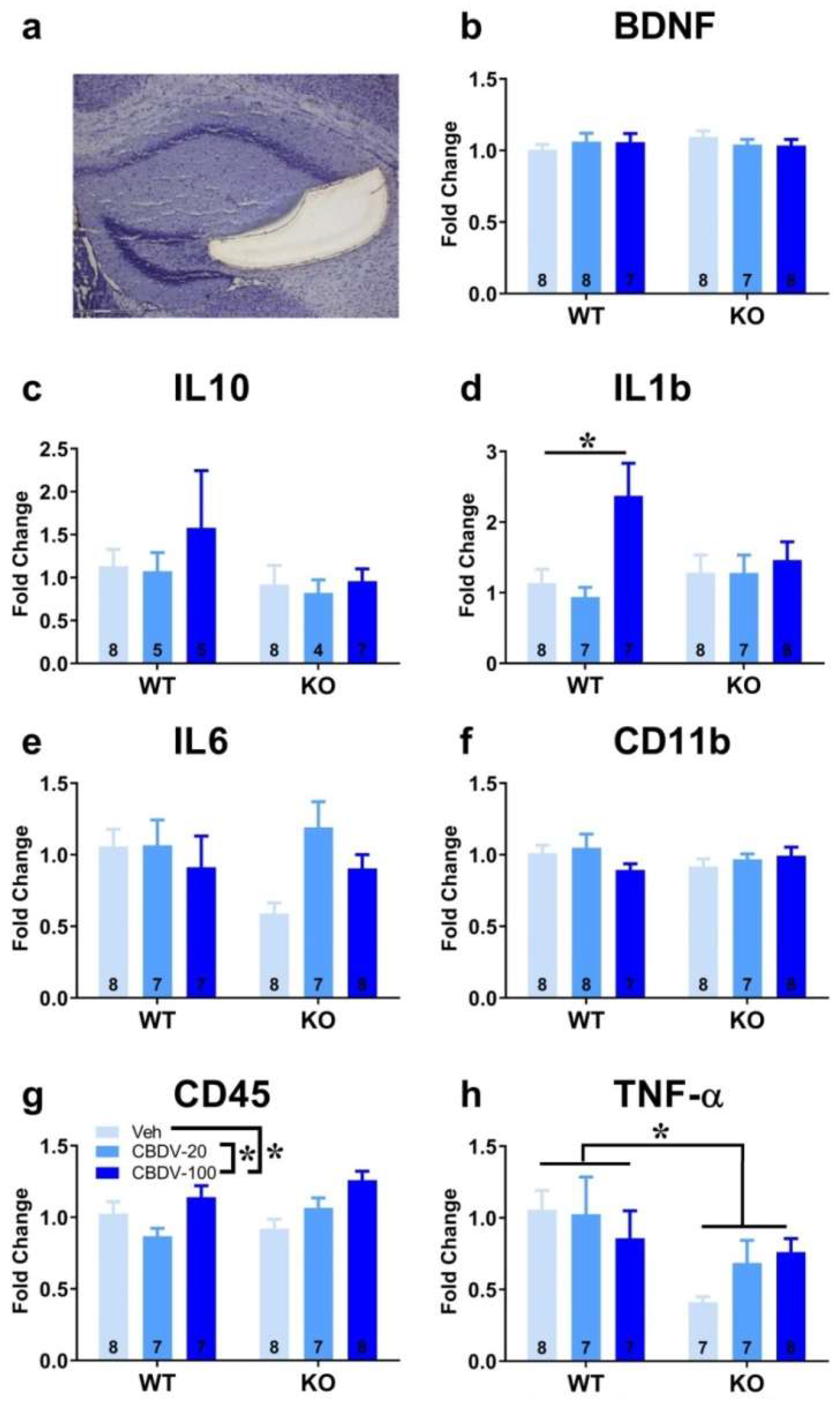 Preprints 78280 g005