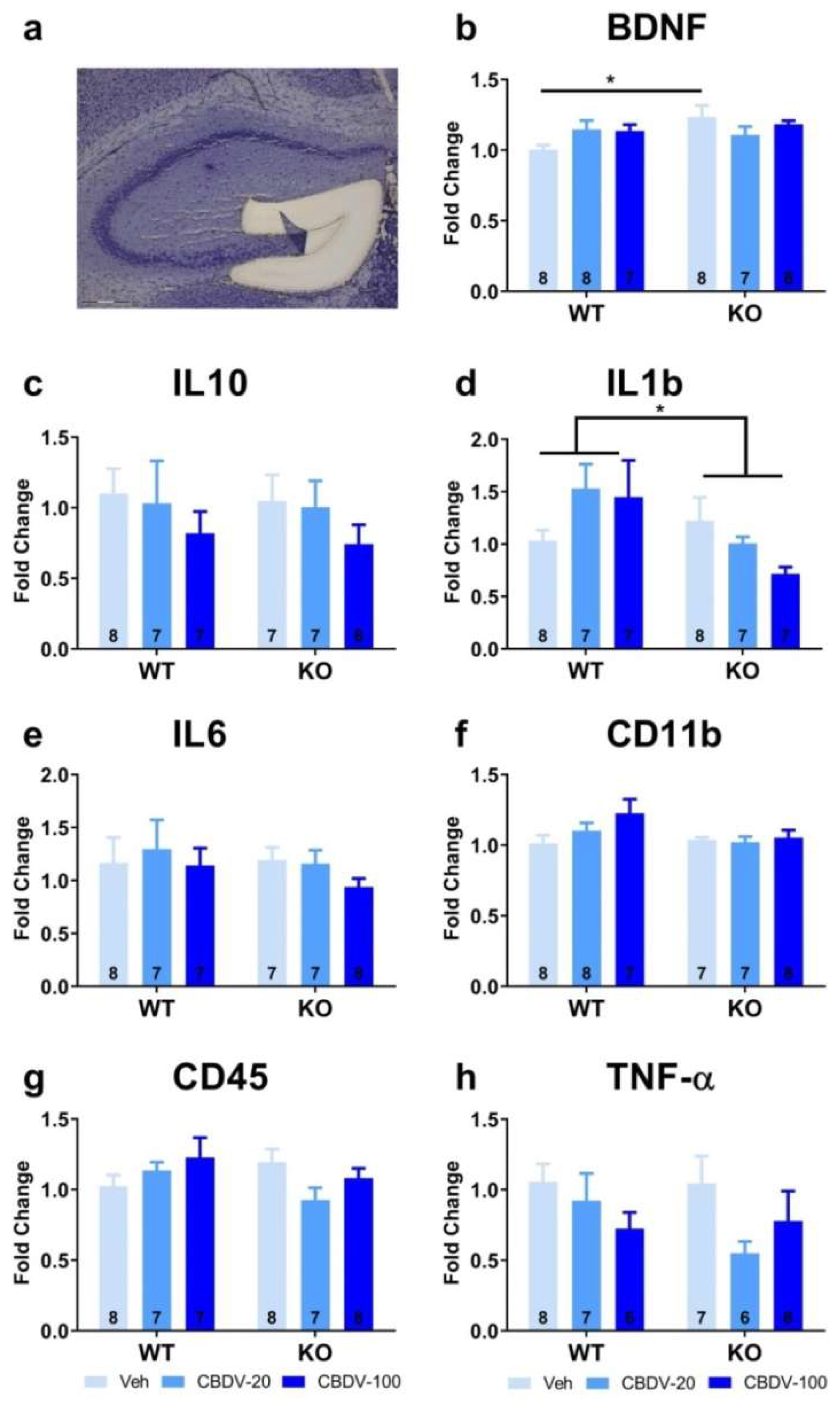 Preprints 78280 g006