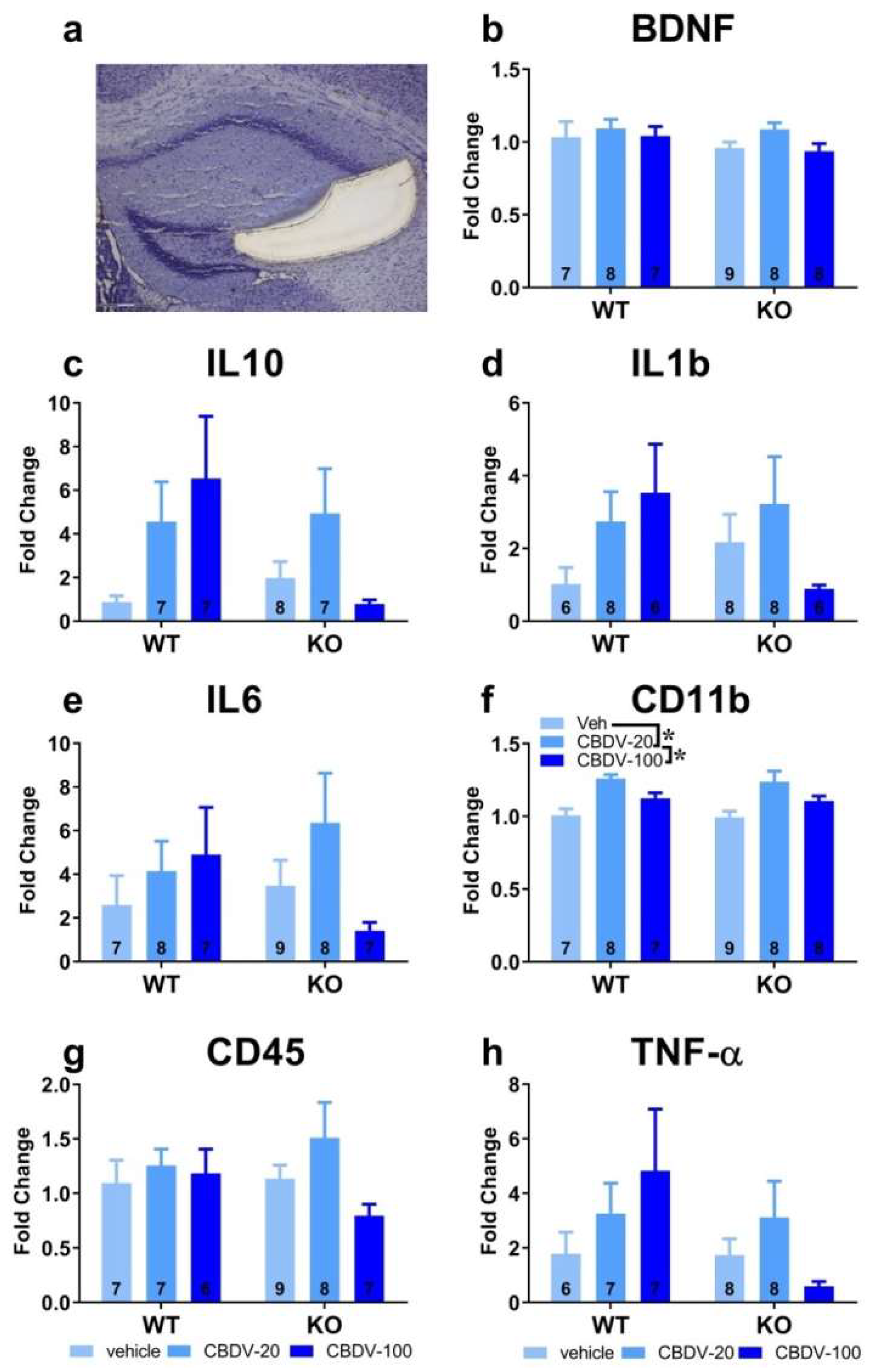 Preprints 78280 g010