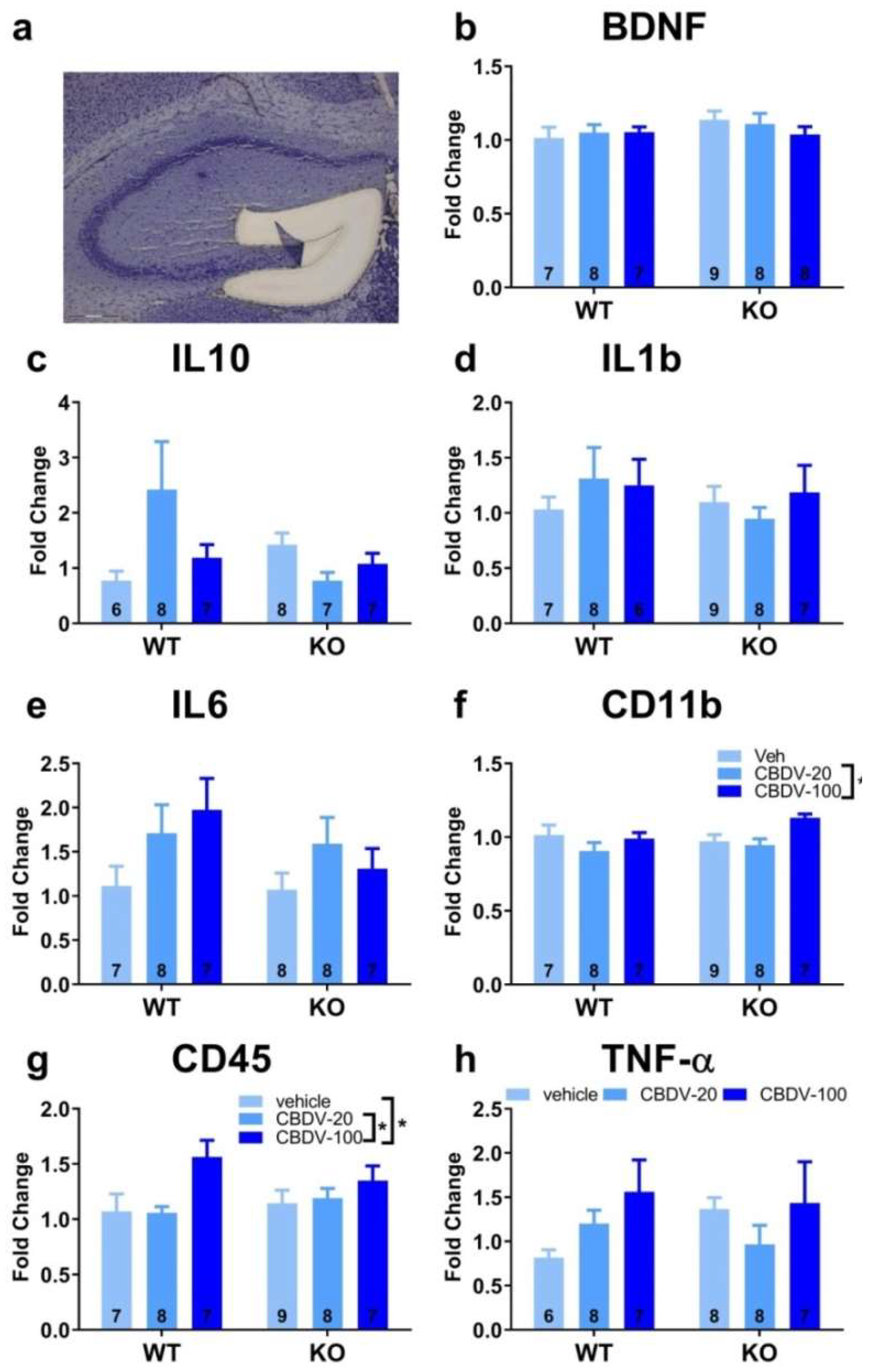 Preprints 78280 g011