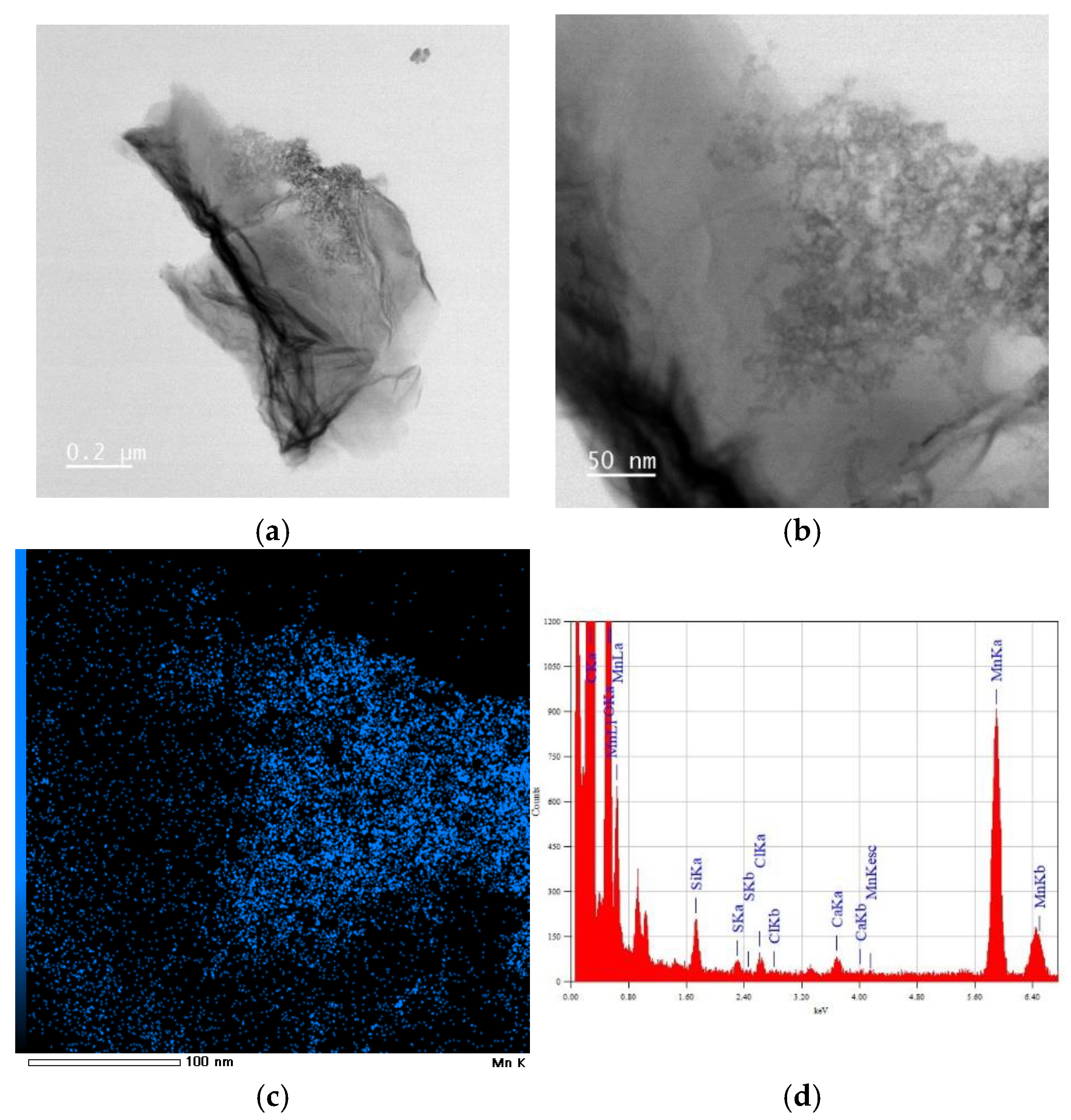 Preprints 121823 g004