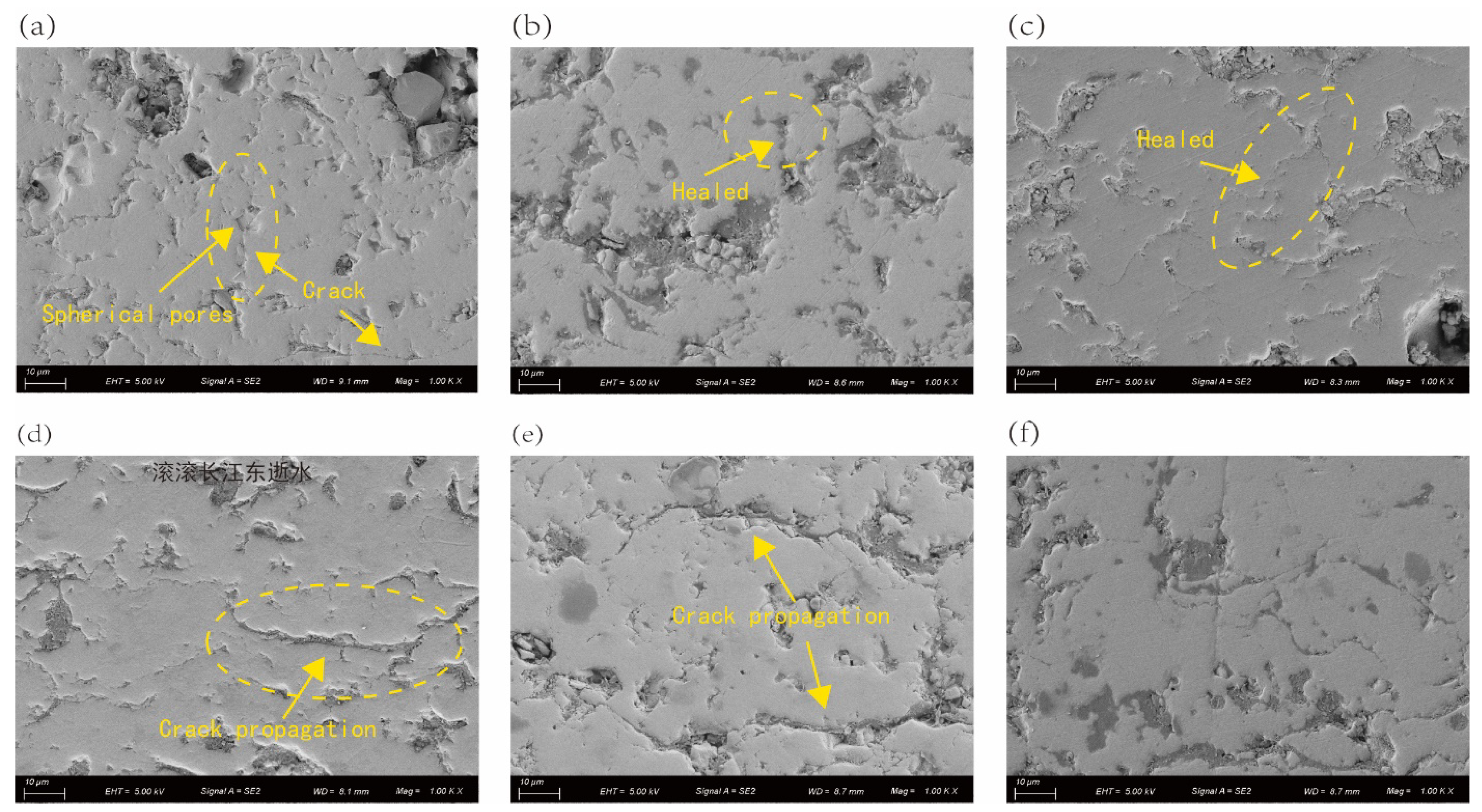 Preprints 71924 g007