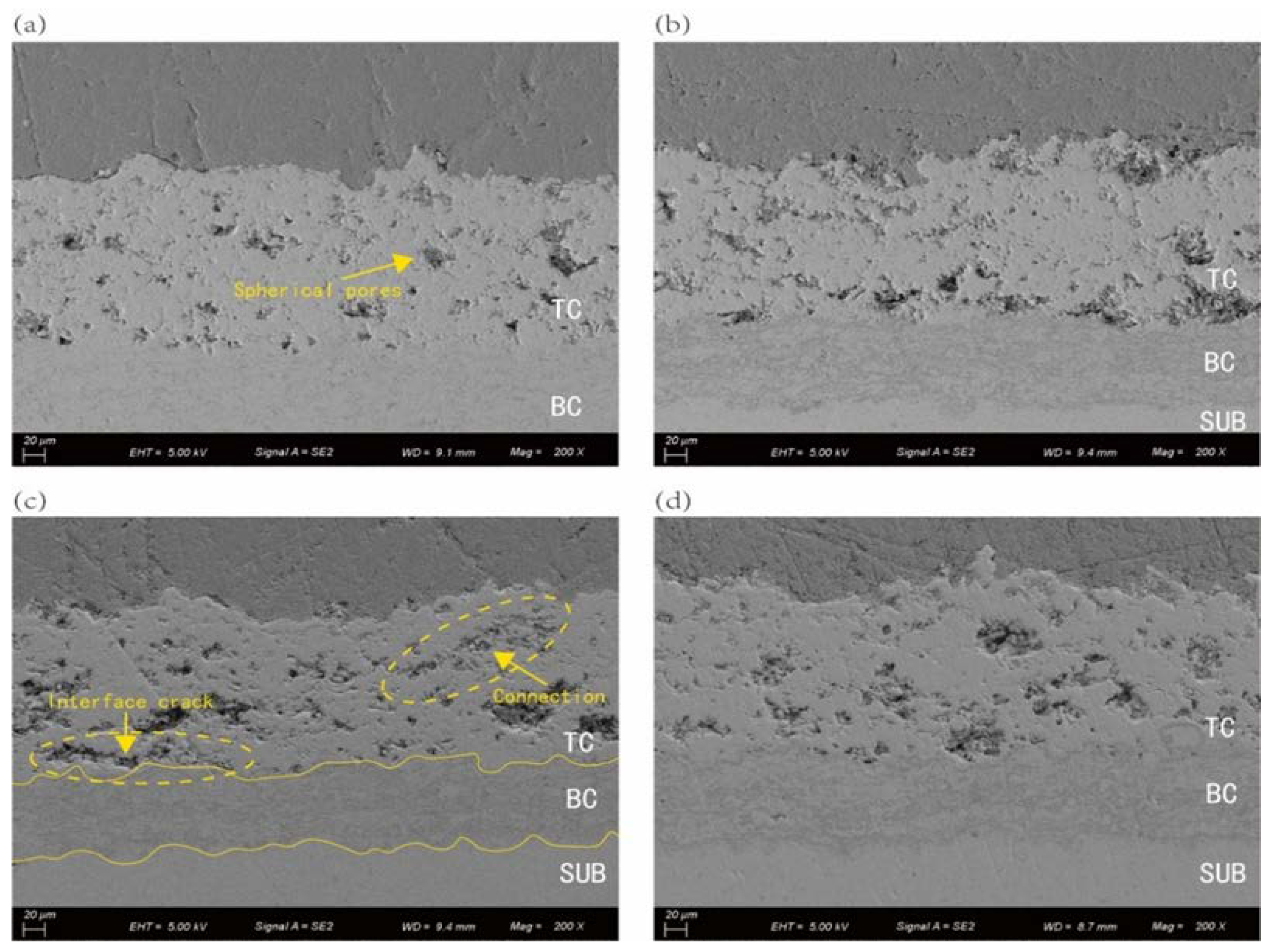 Preprints 71924 g008