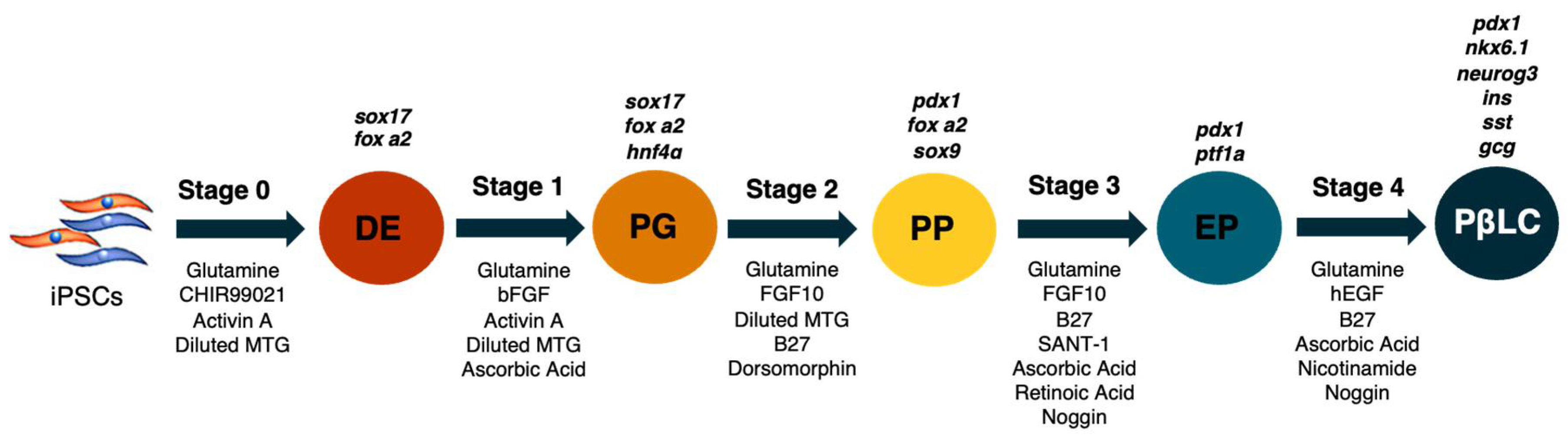 Preprints 112109 g006