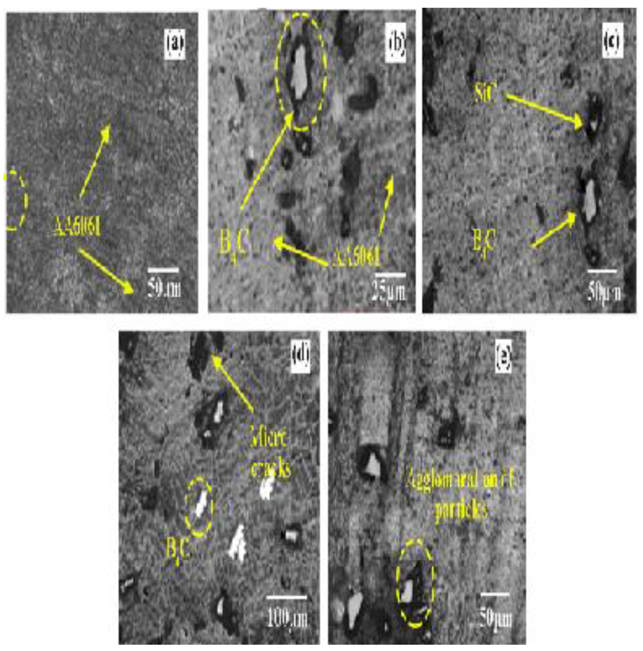 Preprints 99328 g009