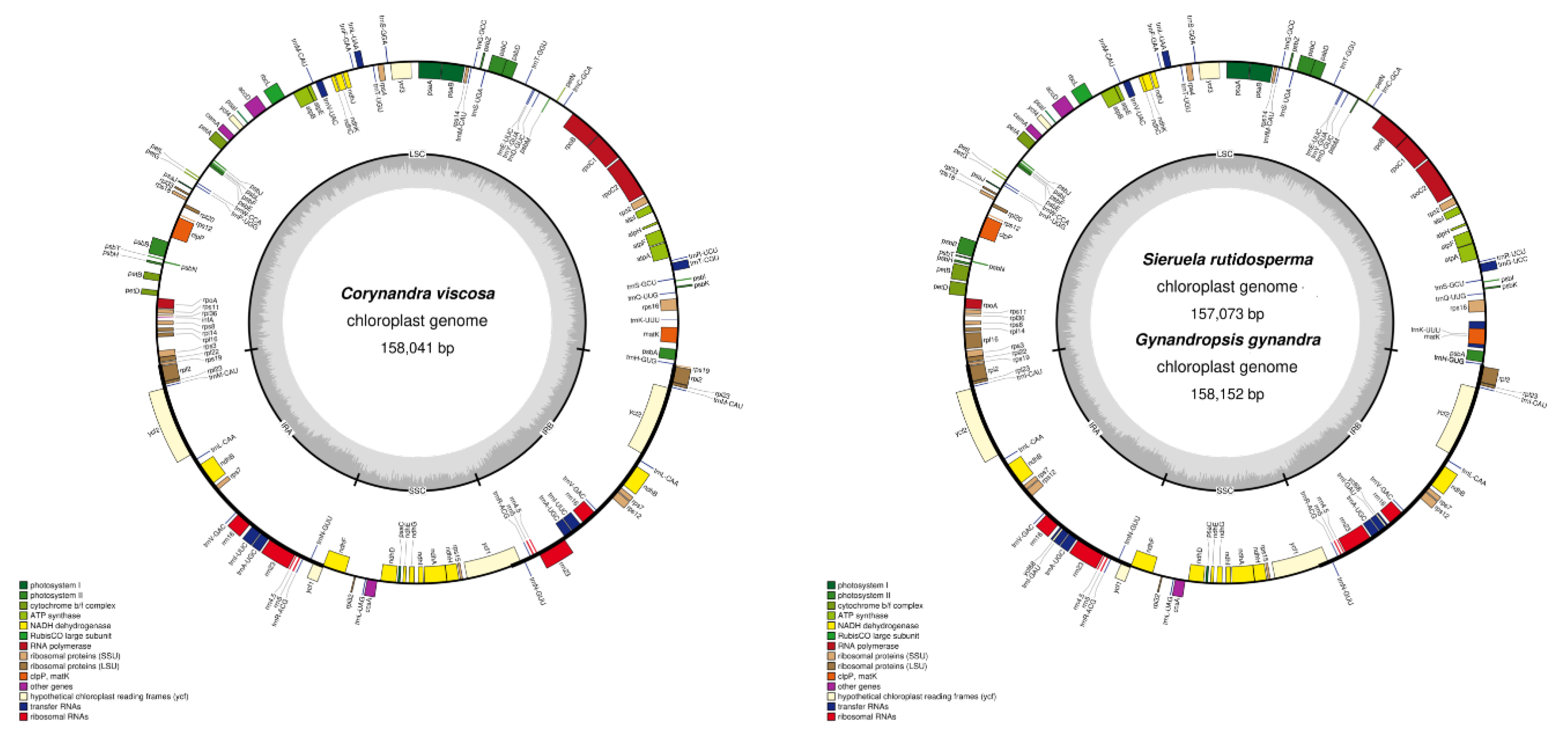 Preprints 116392 g001