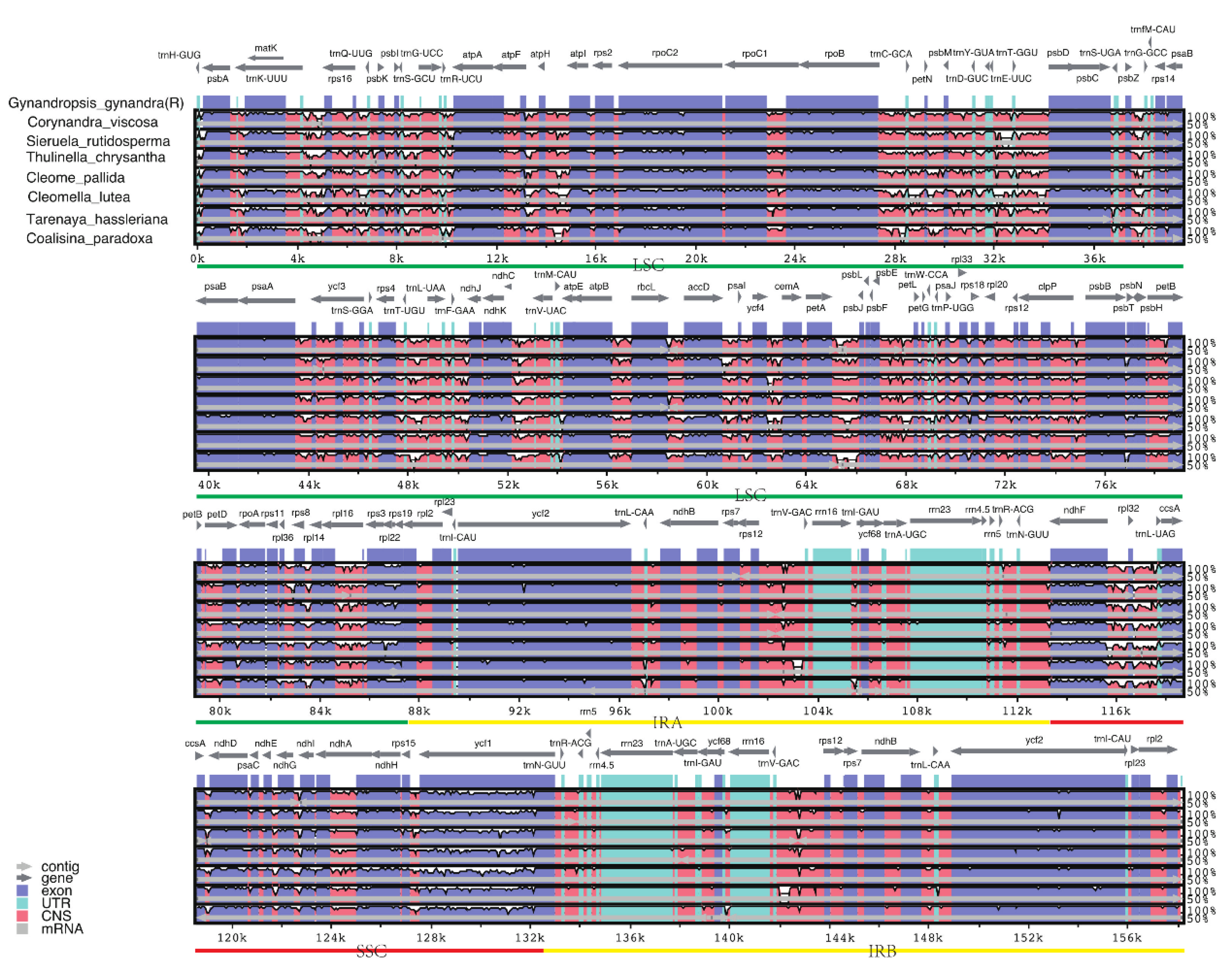 Preprints 116392 g005