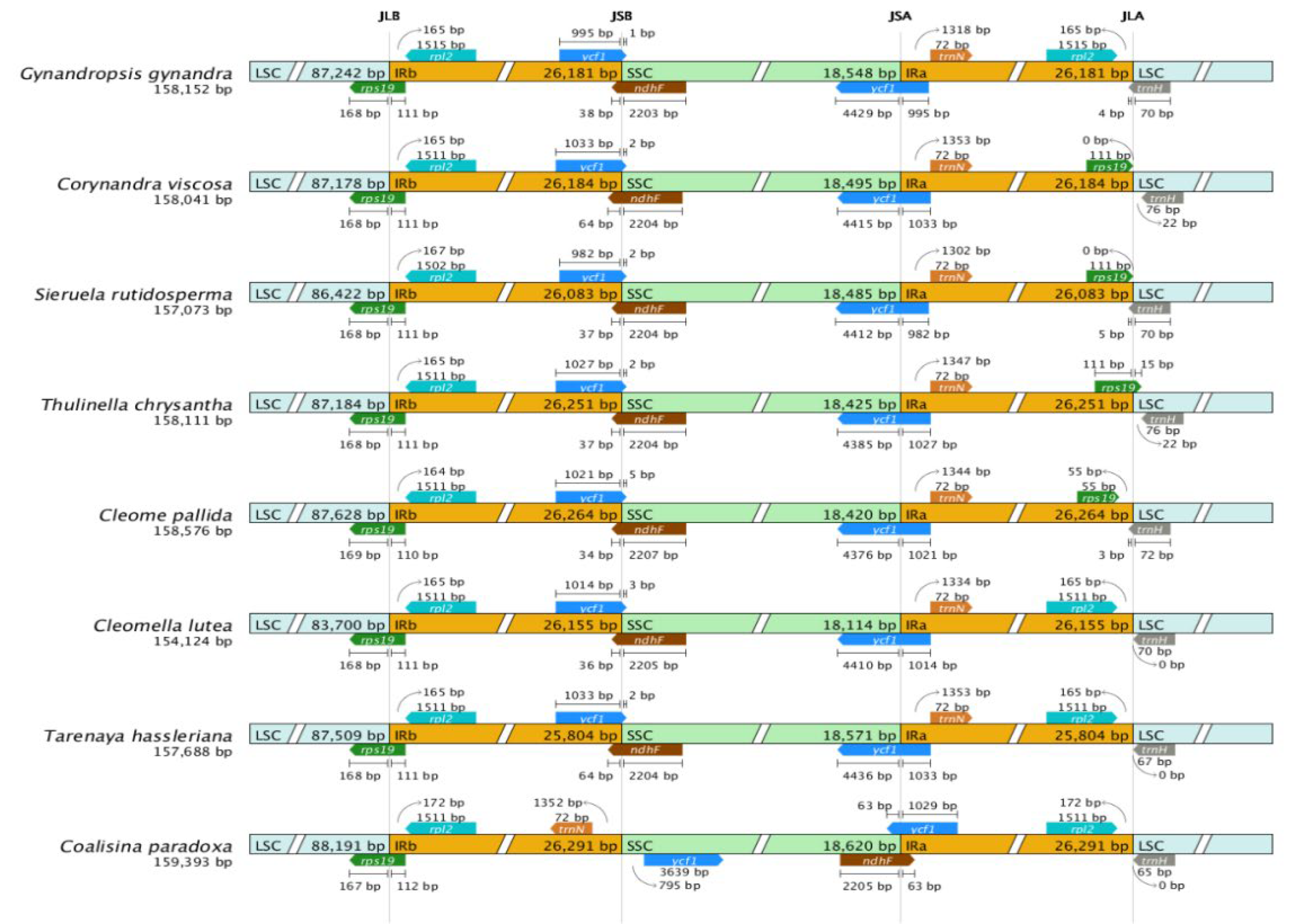 Preprints 116392 g007