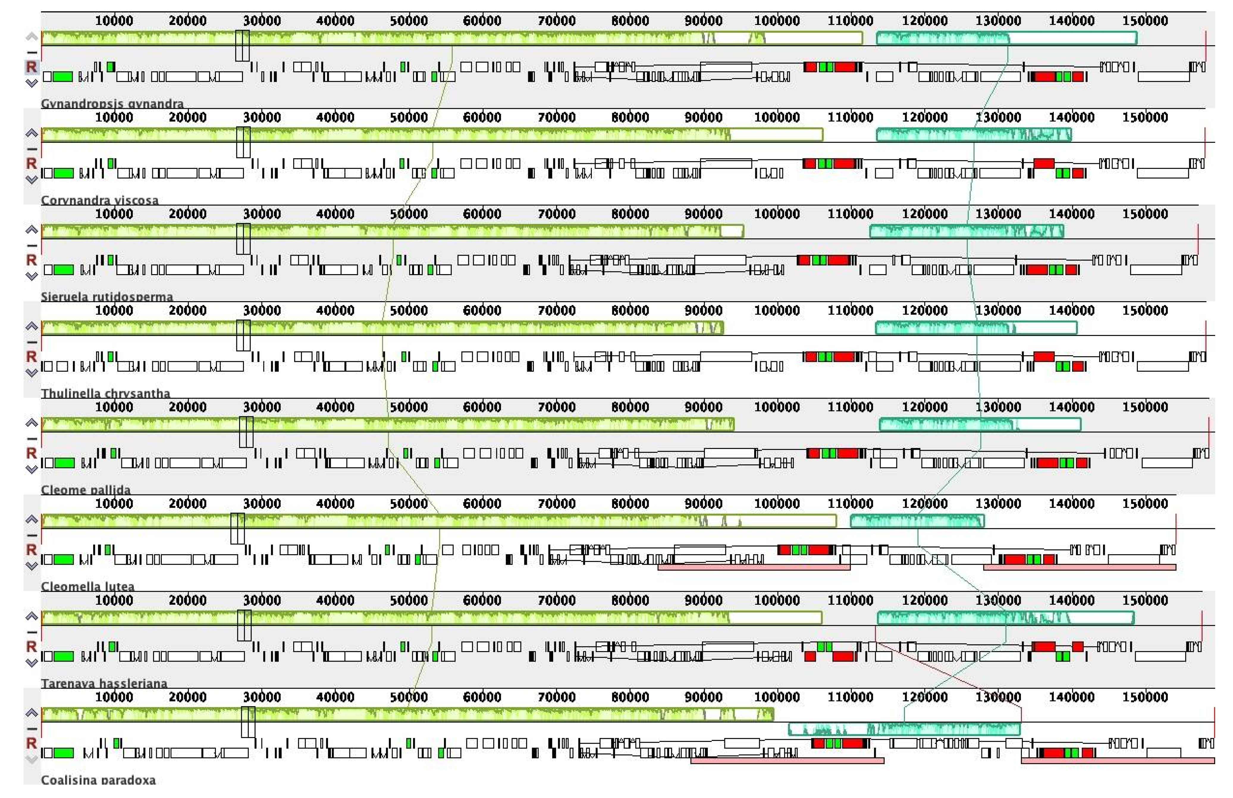 Preprints 116392 g008