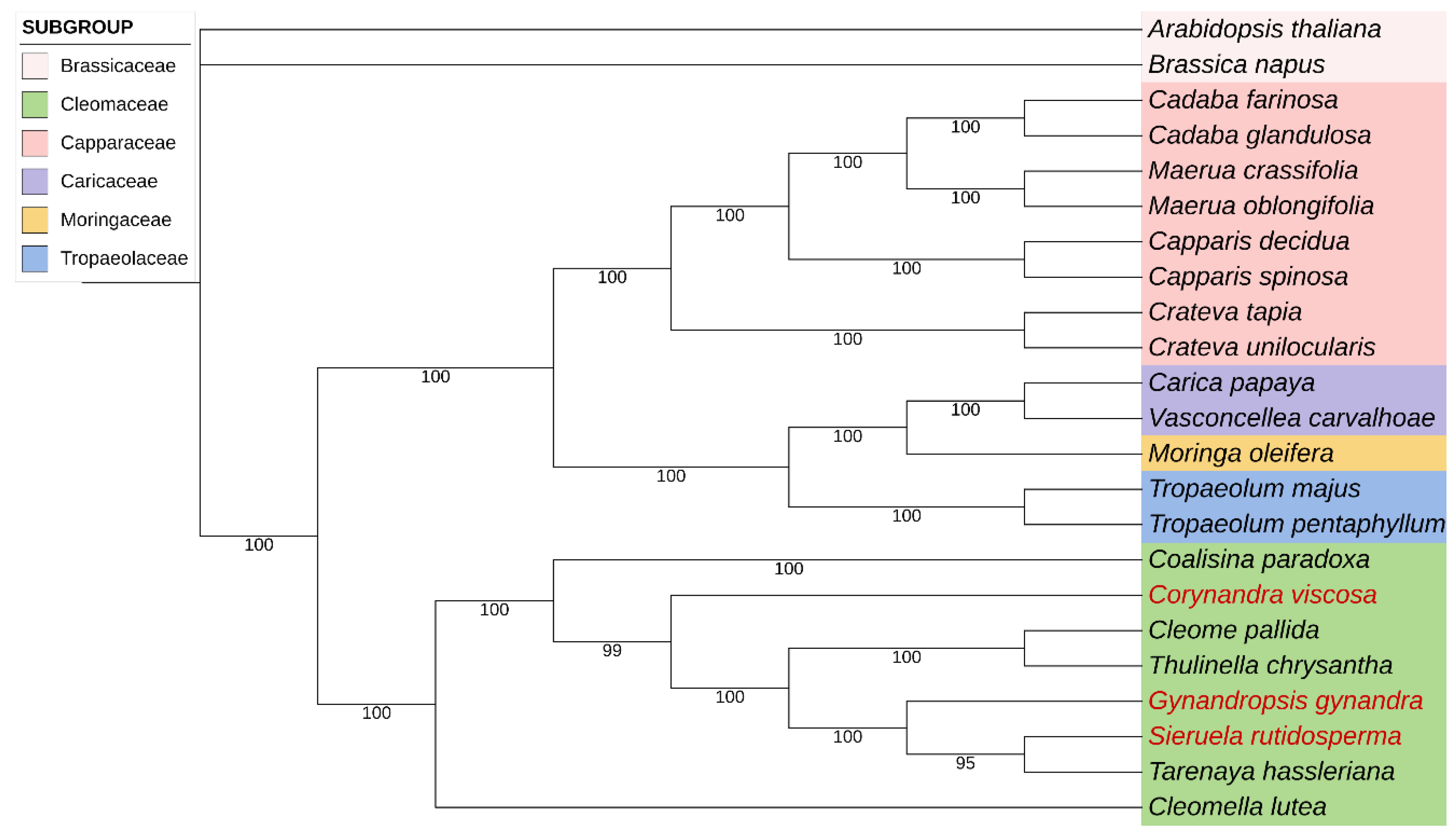 Preprints 116392 g010