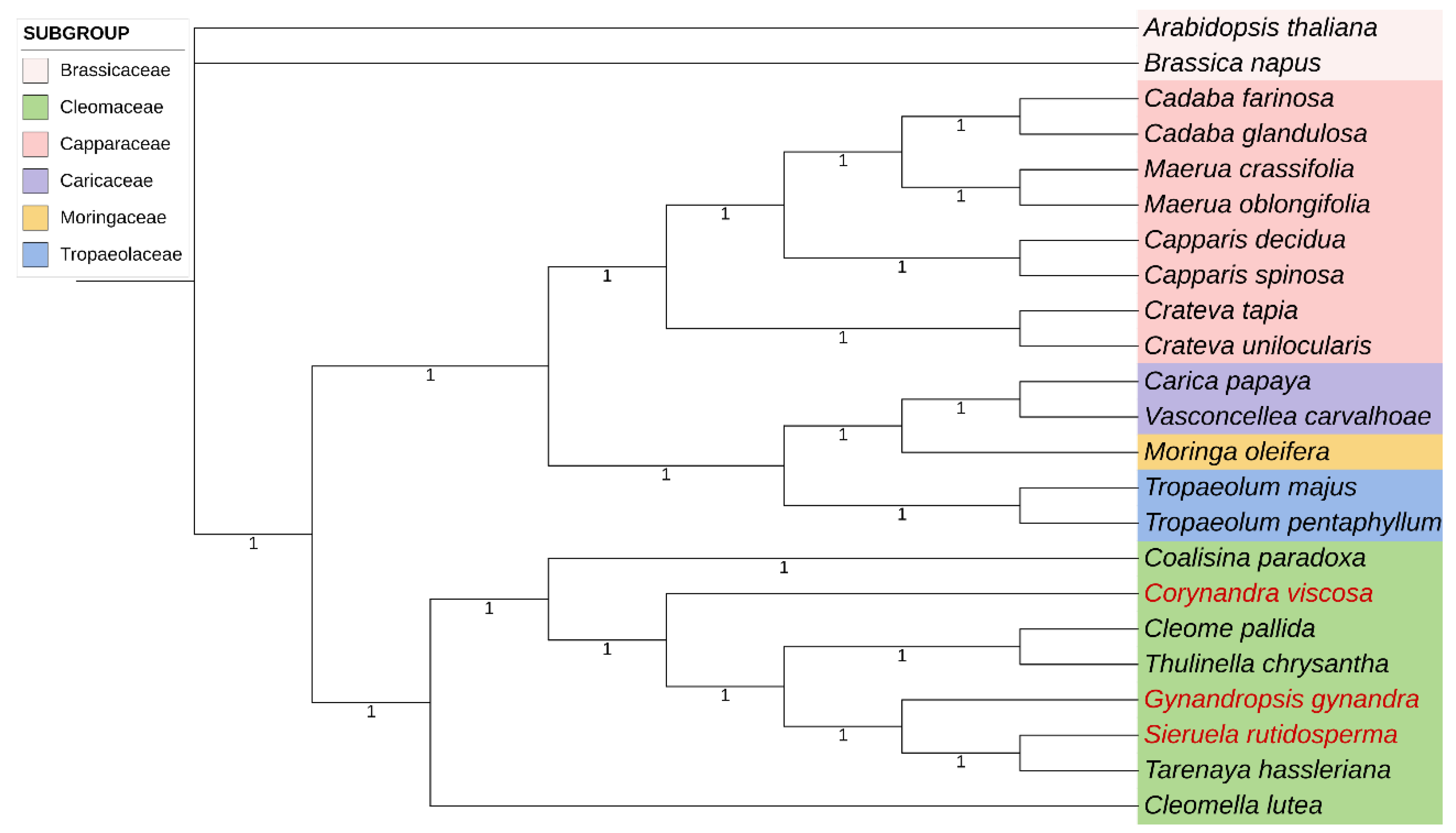 Preprints 116392 g011