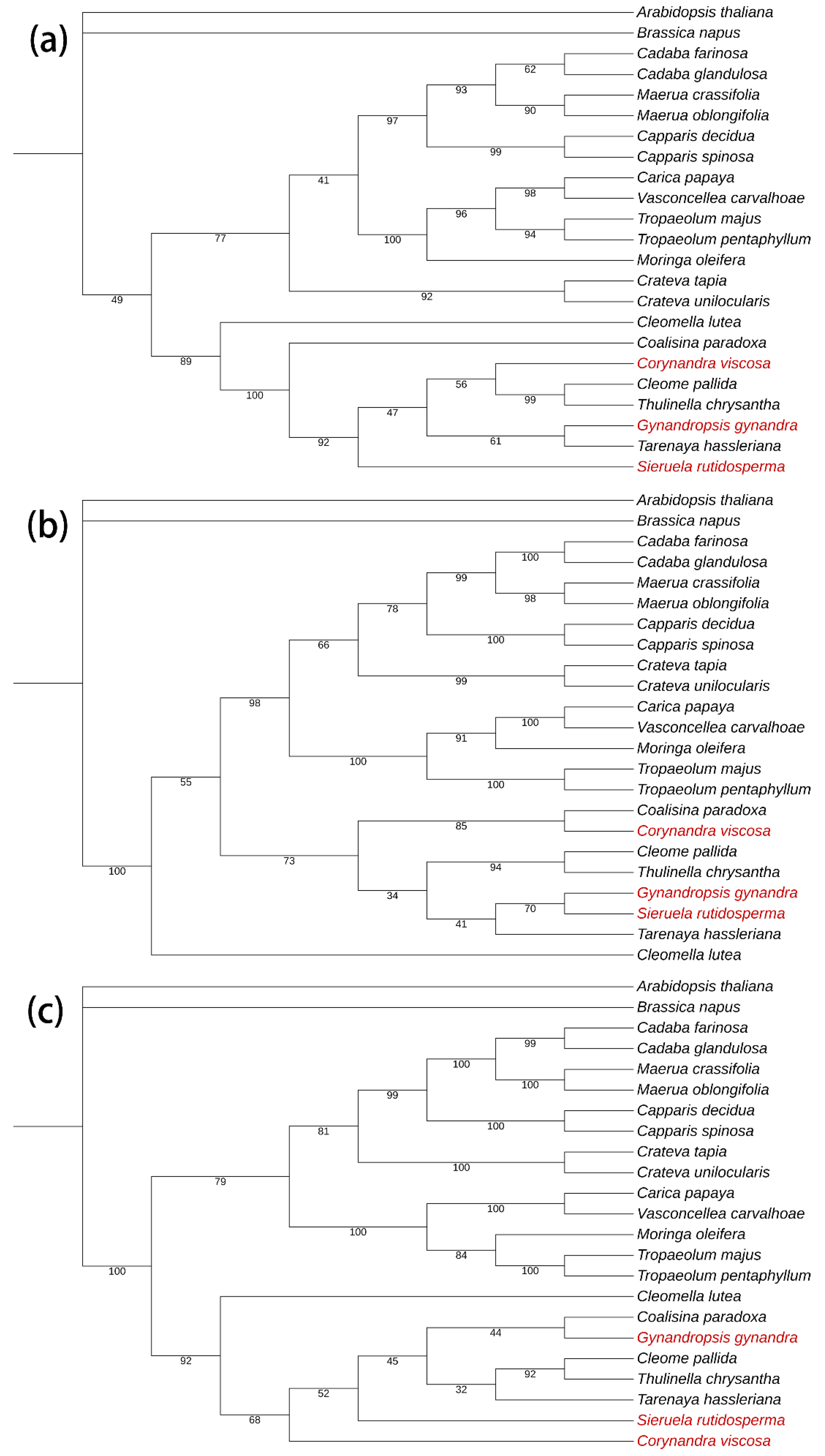 Preprints 116392 g012