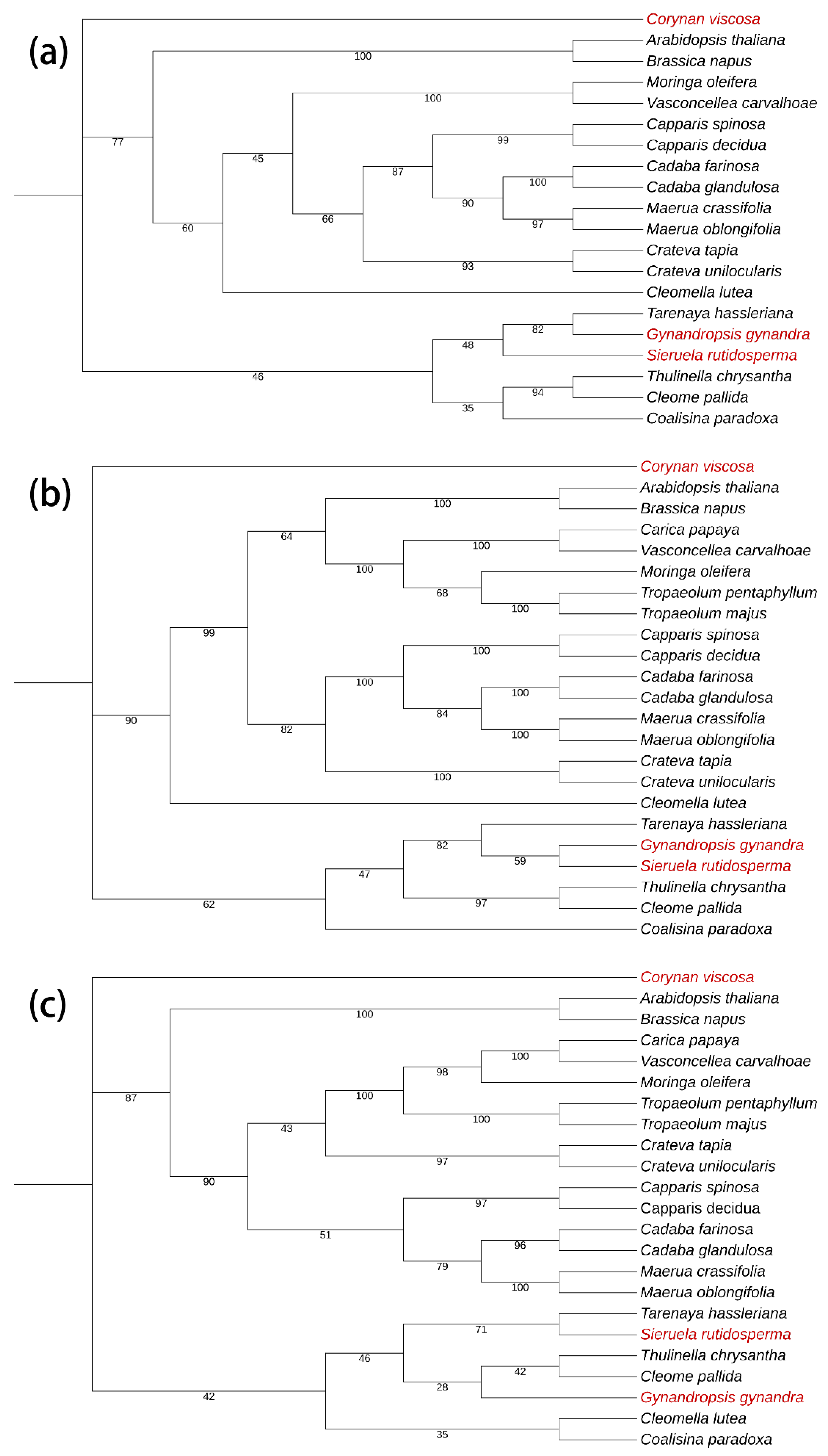 Preprints 116392 g013