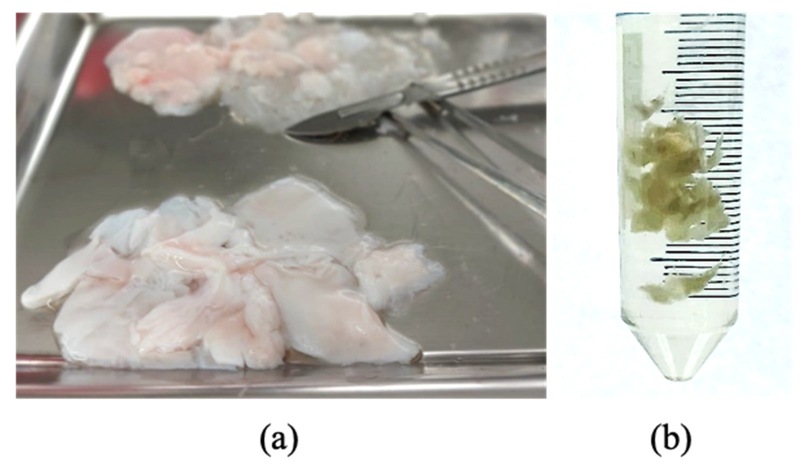 Preprints 69615 g001