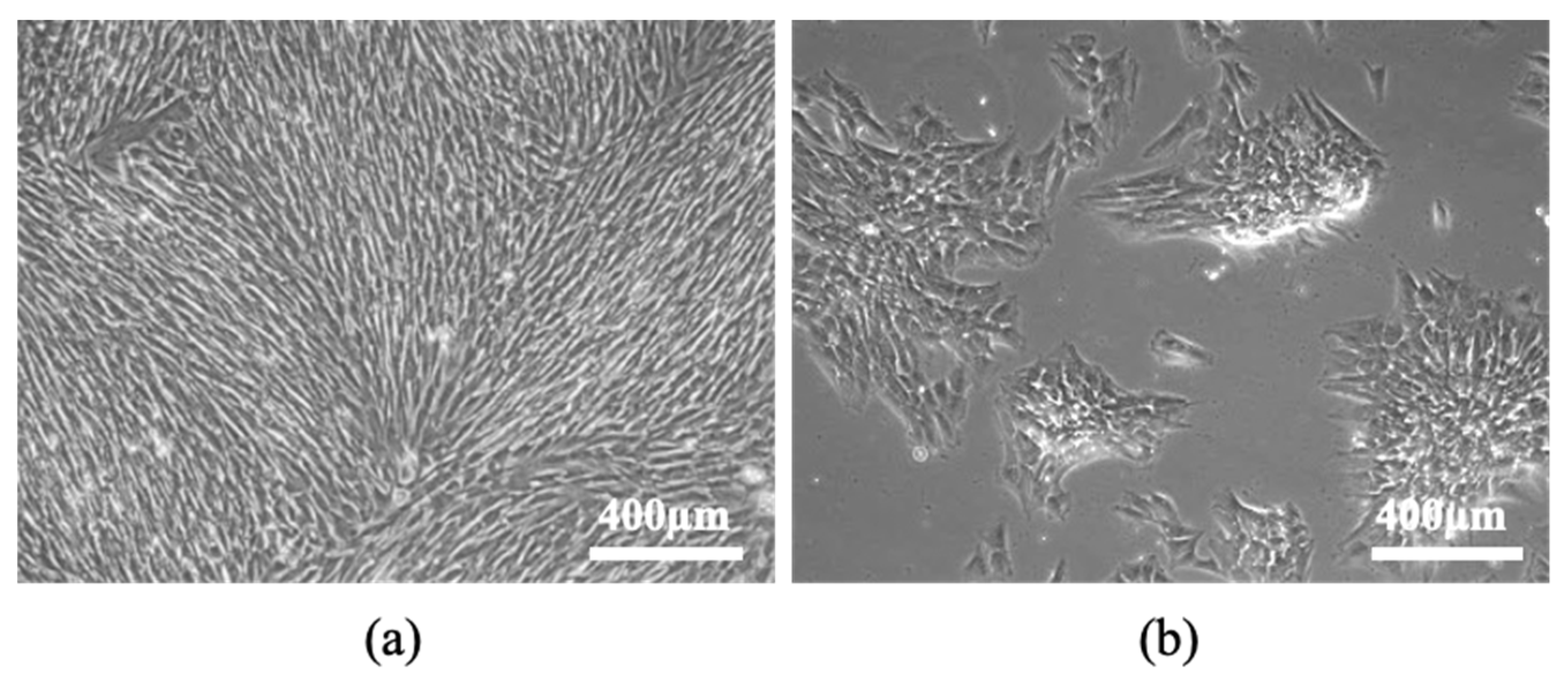 Preprints 69615 g004