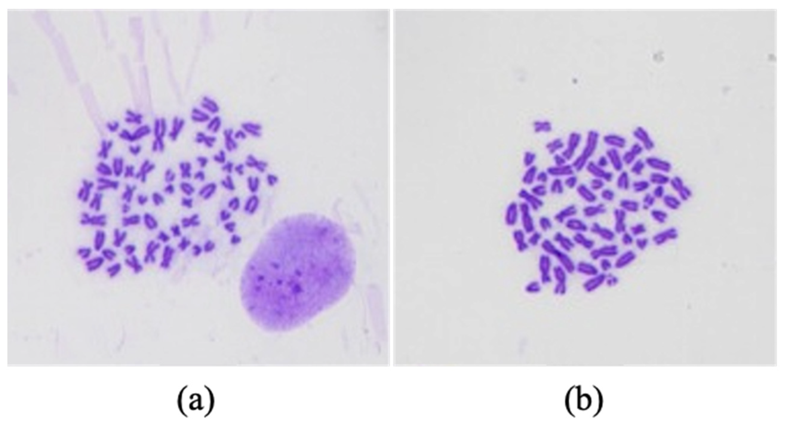 Preprints 69615 g006