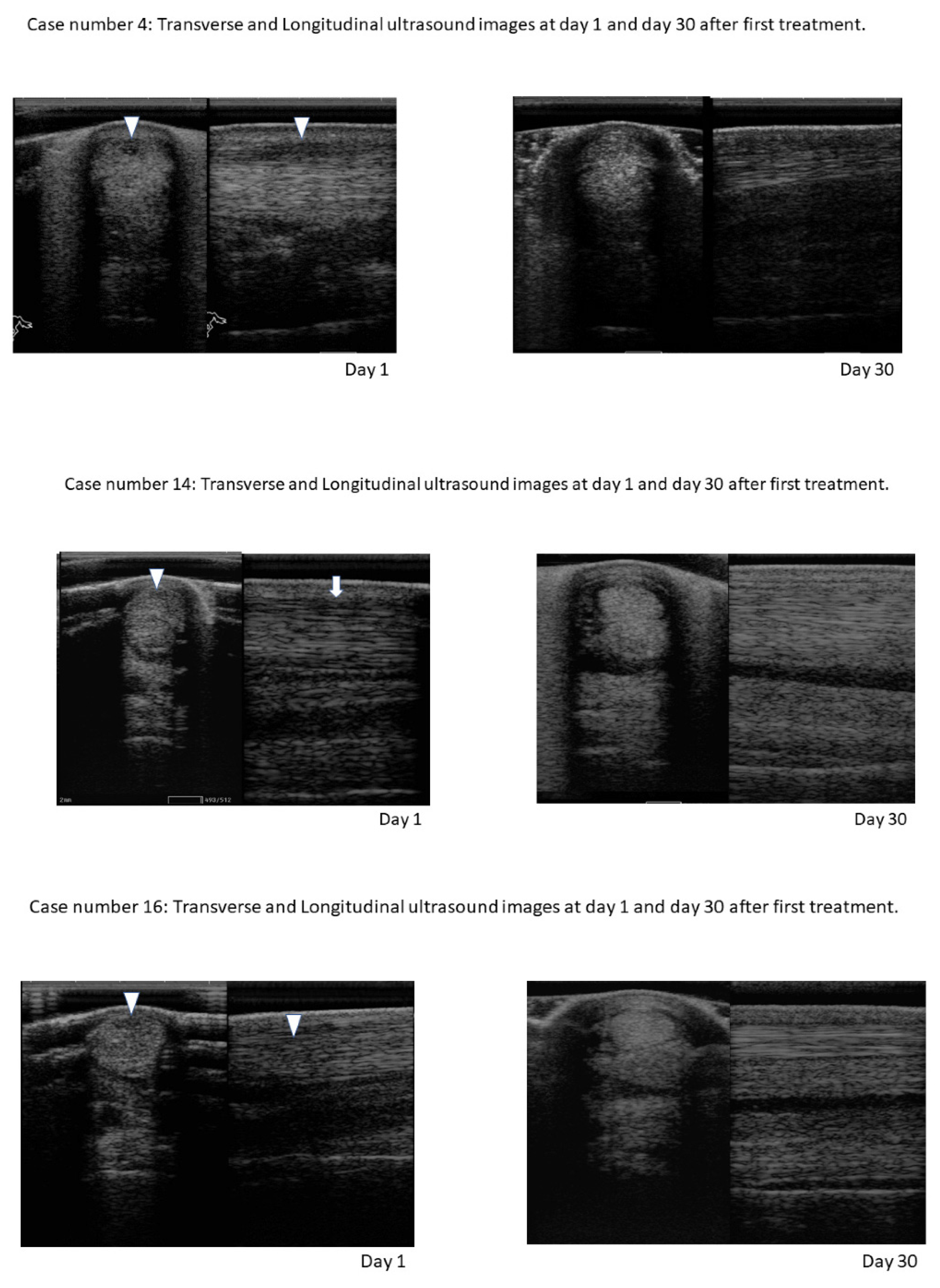 Preprints 69615 g010