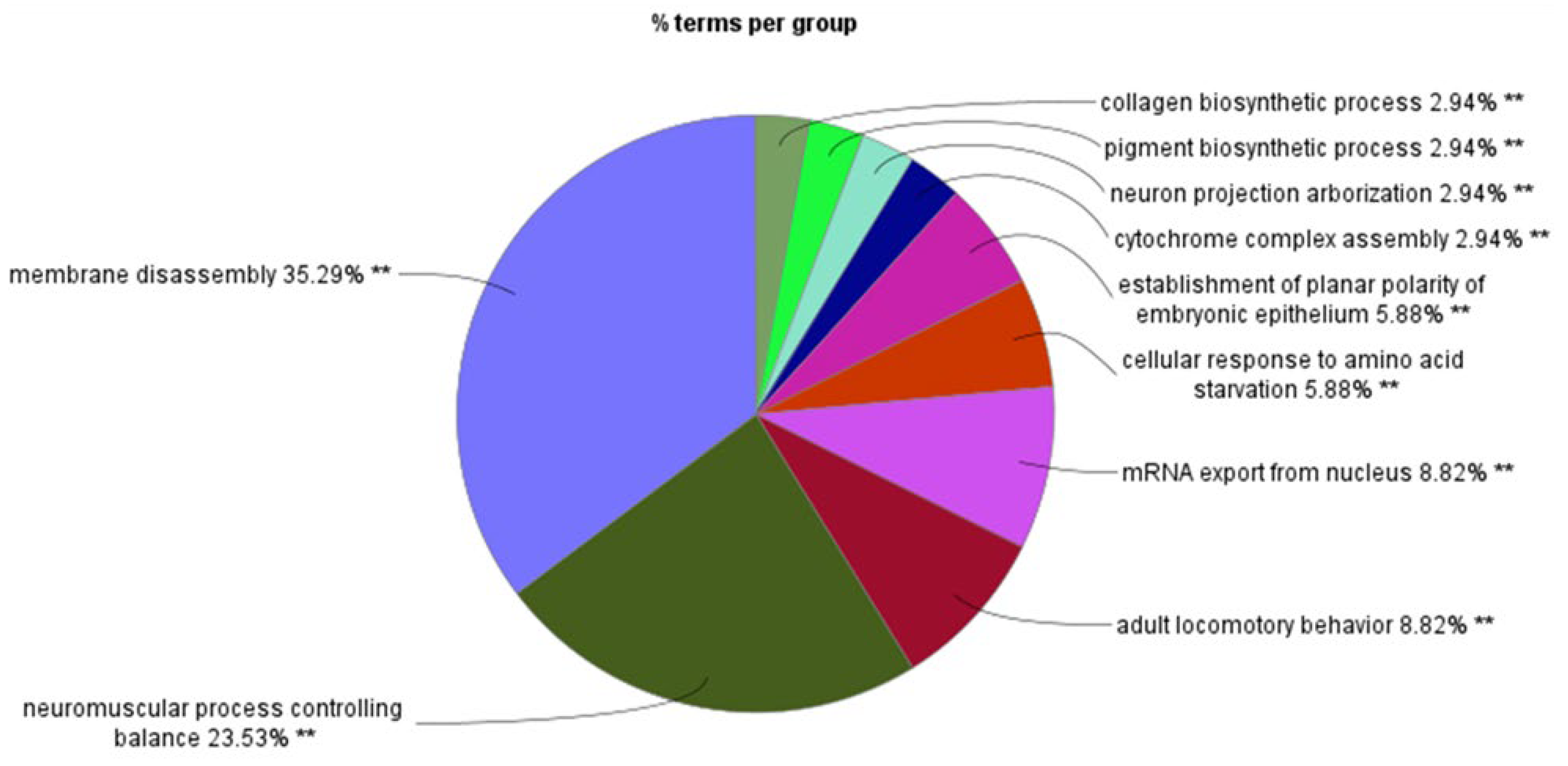 Preprints 106340 g008