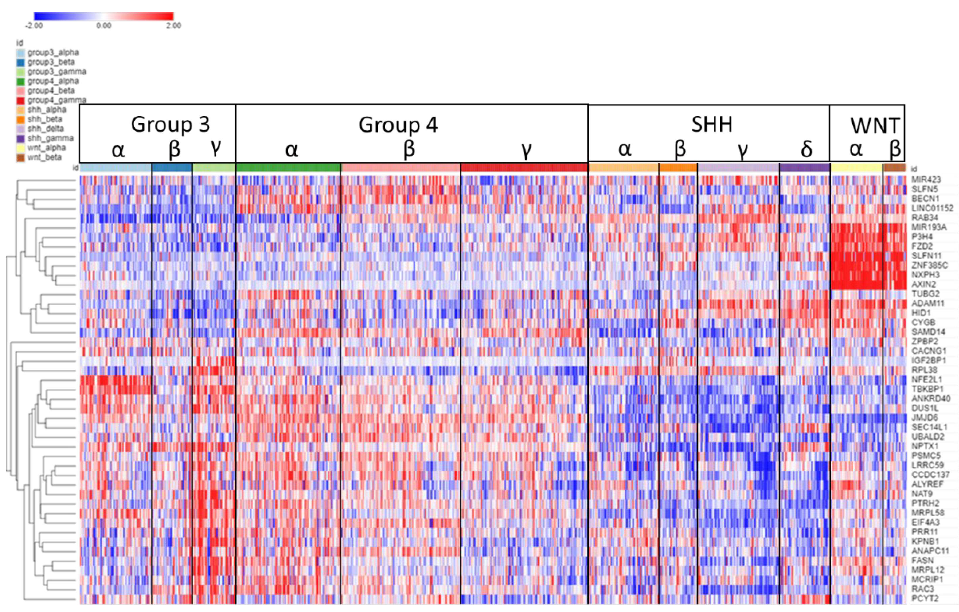 Preprints 106340 g011