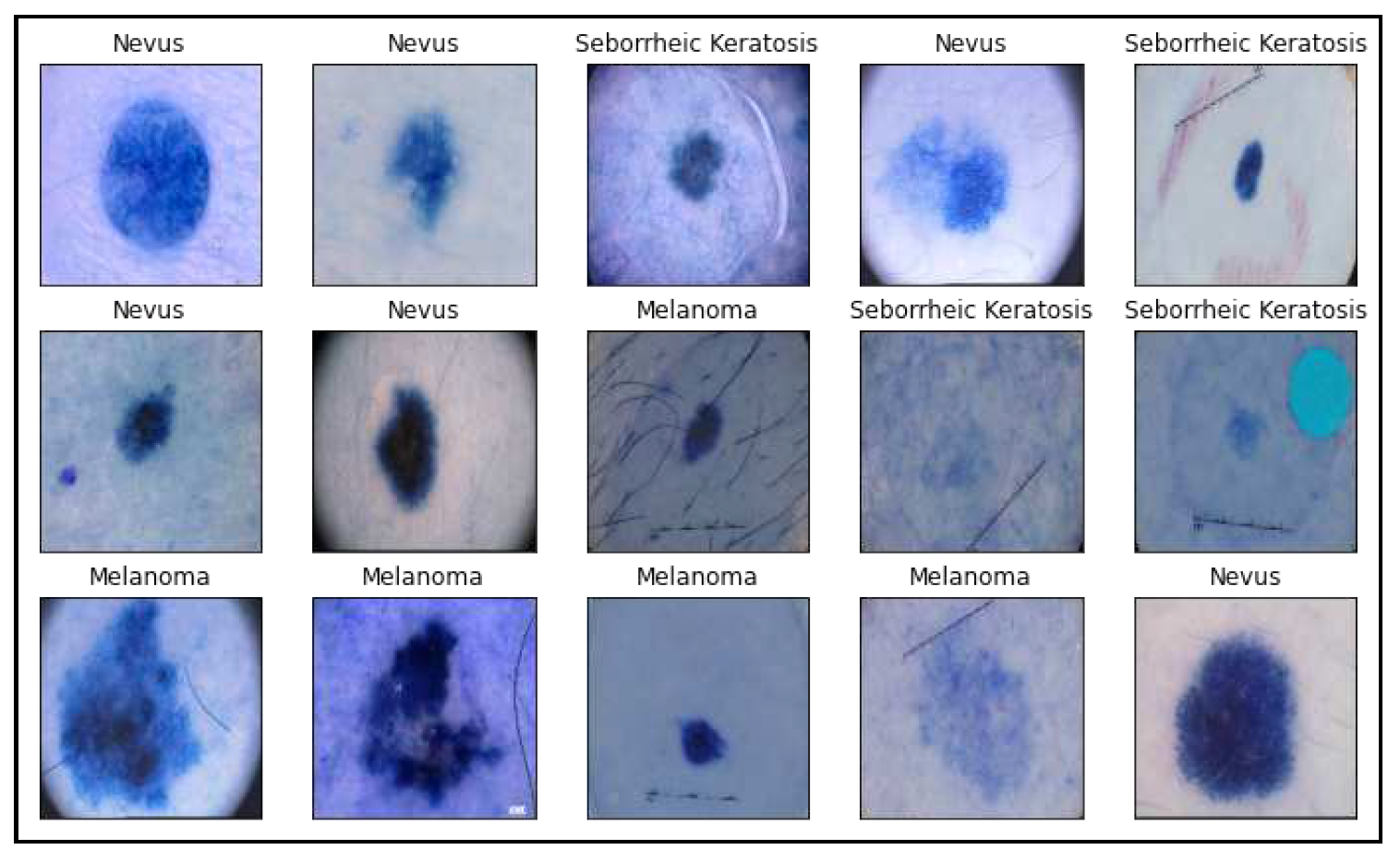 Preprints 91092 g002