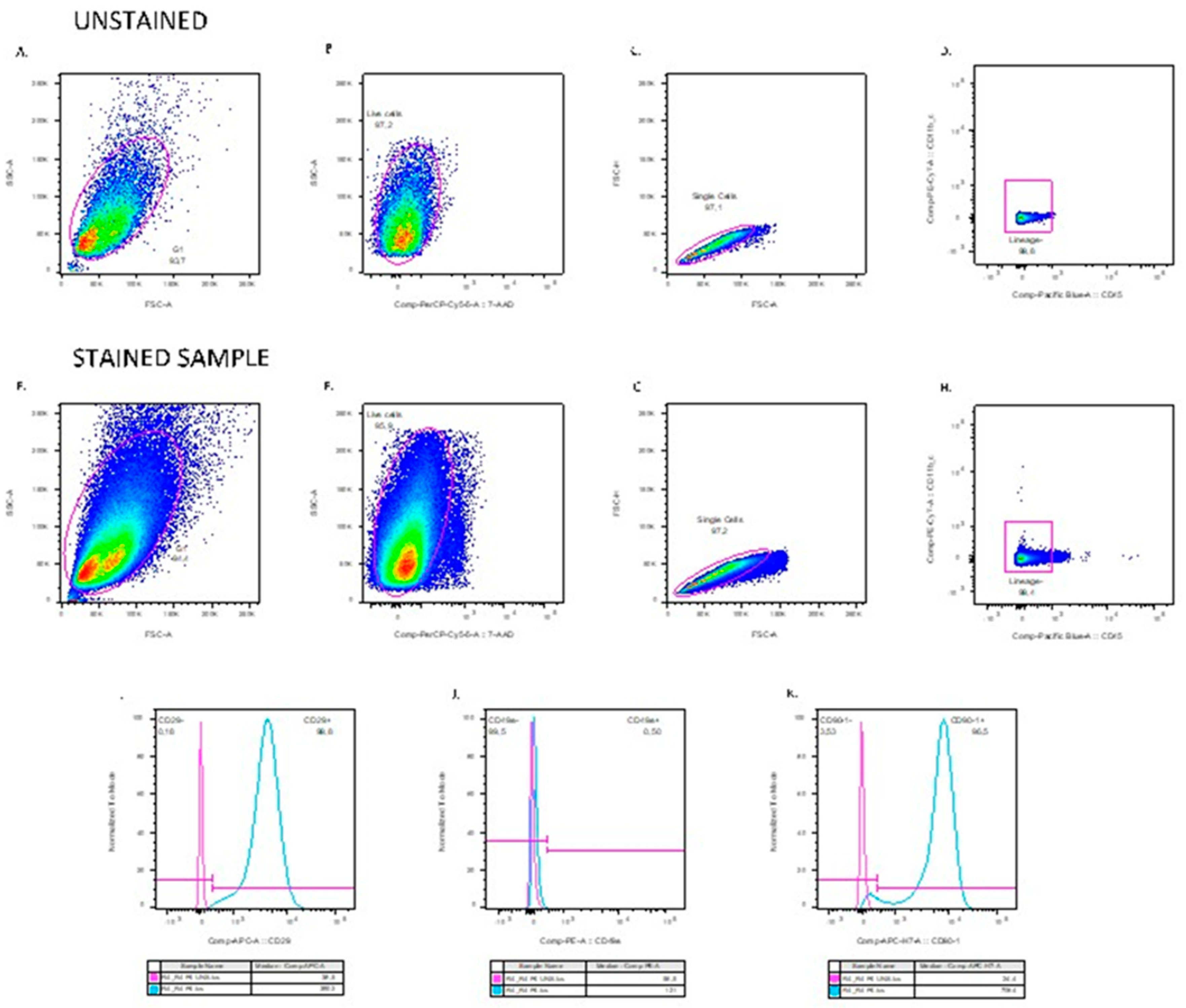 Preprints 101460 g003