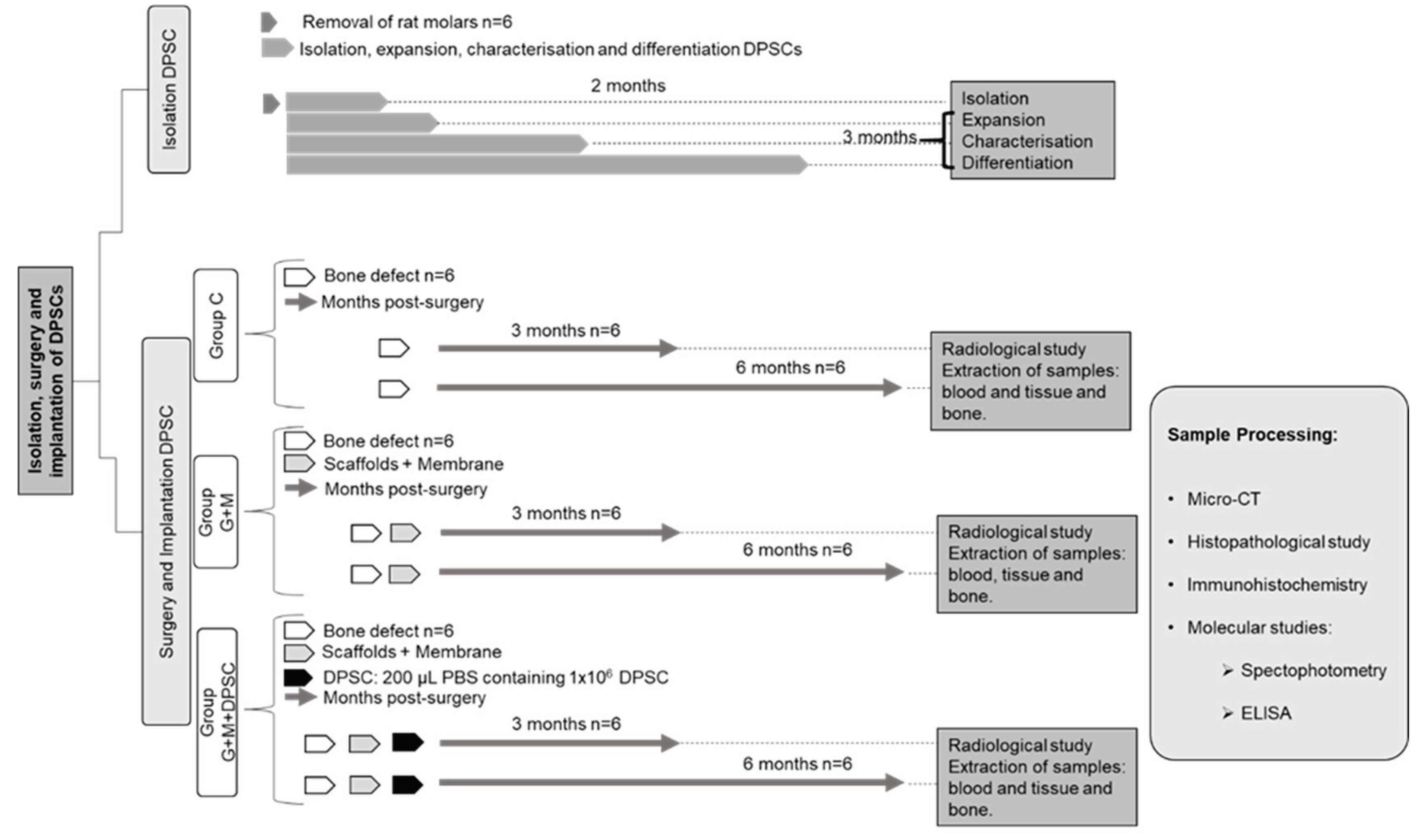 Preprints 101460 g015