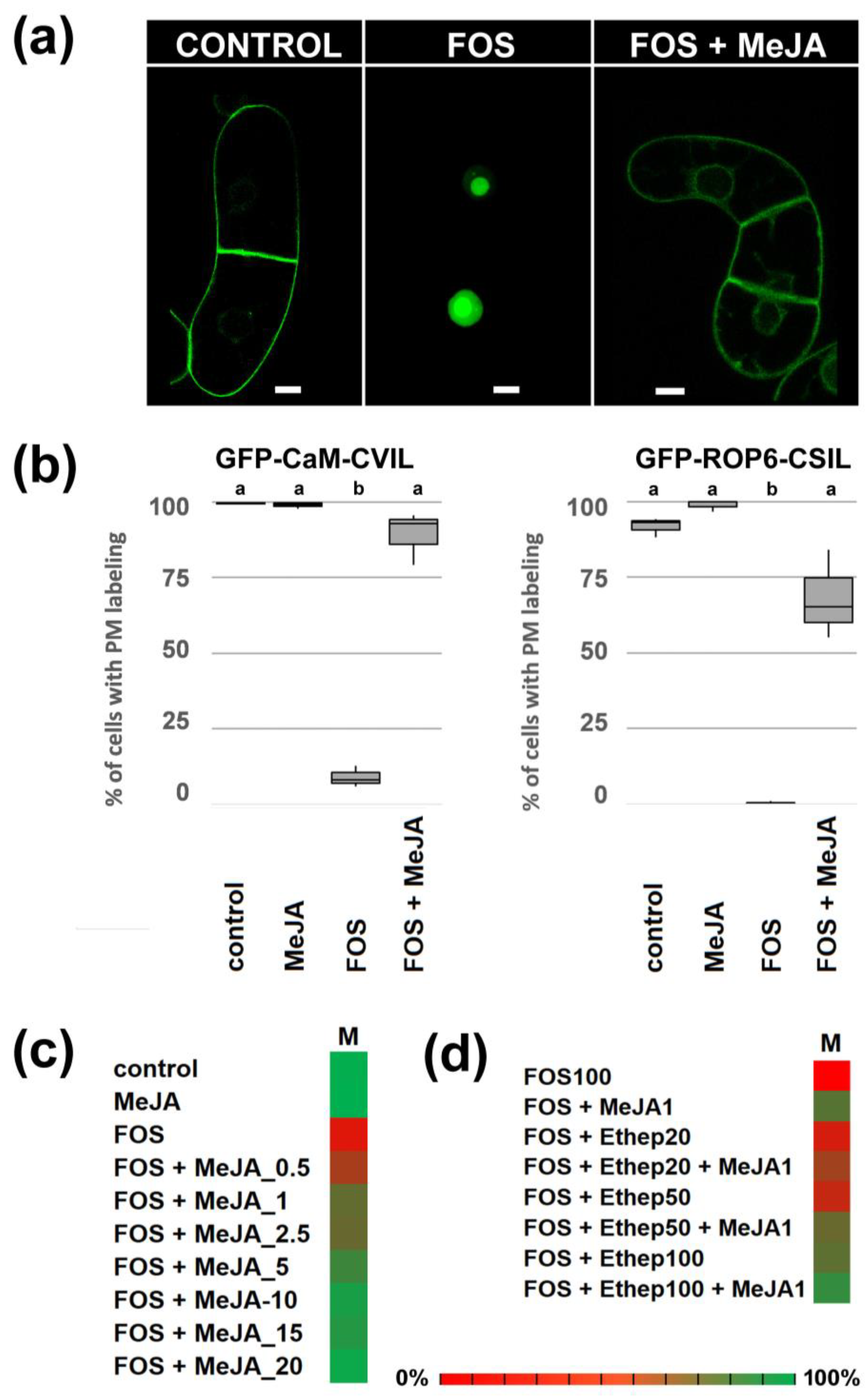 Preprints 95889 g001