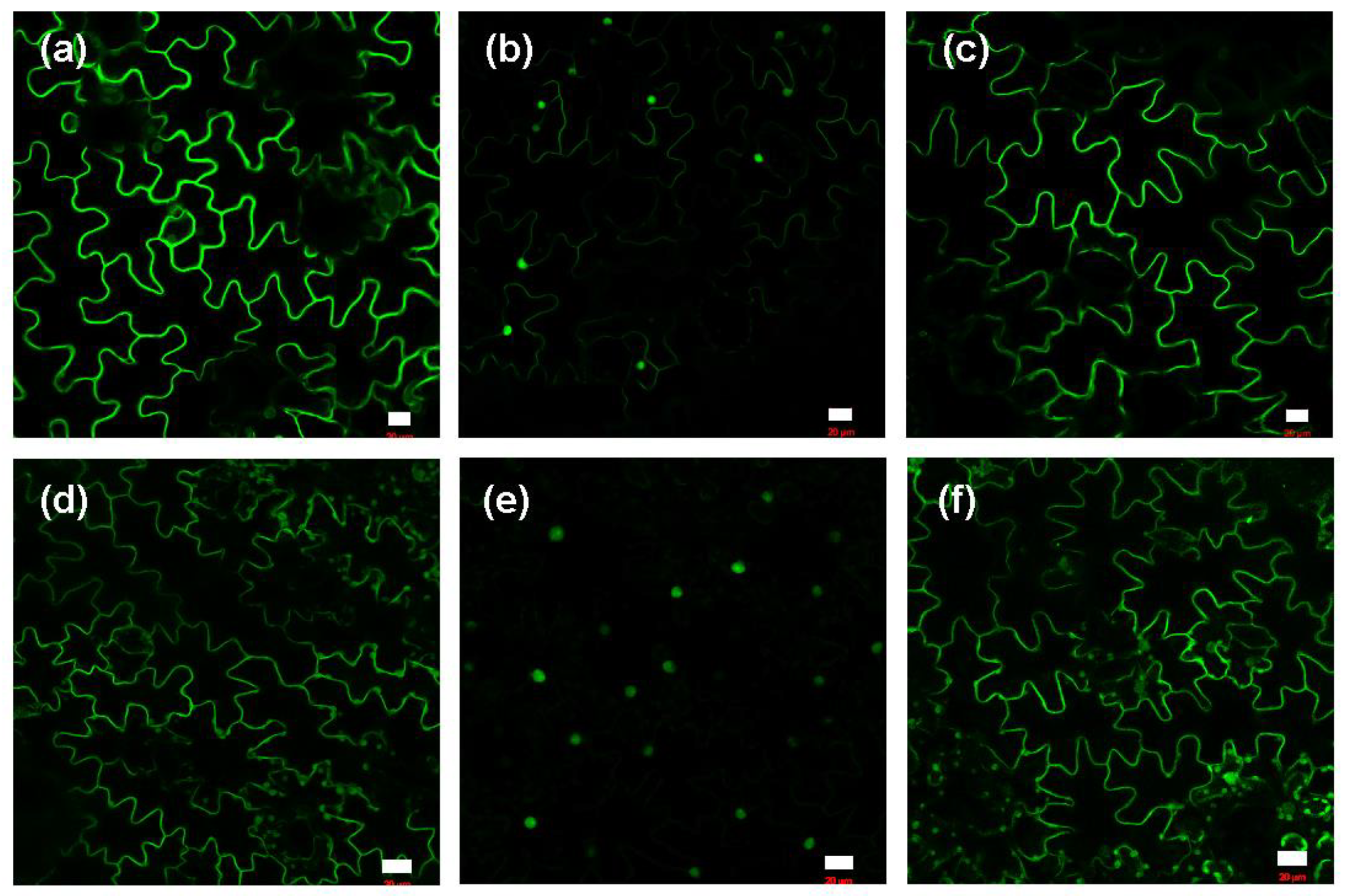 Preprints 95889 g003