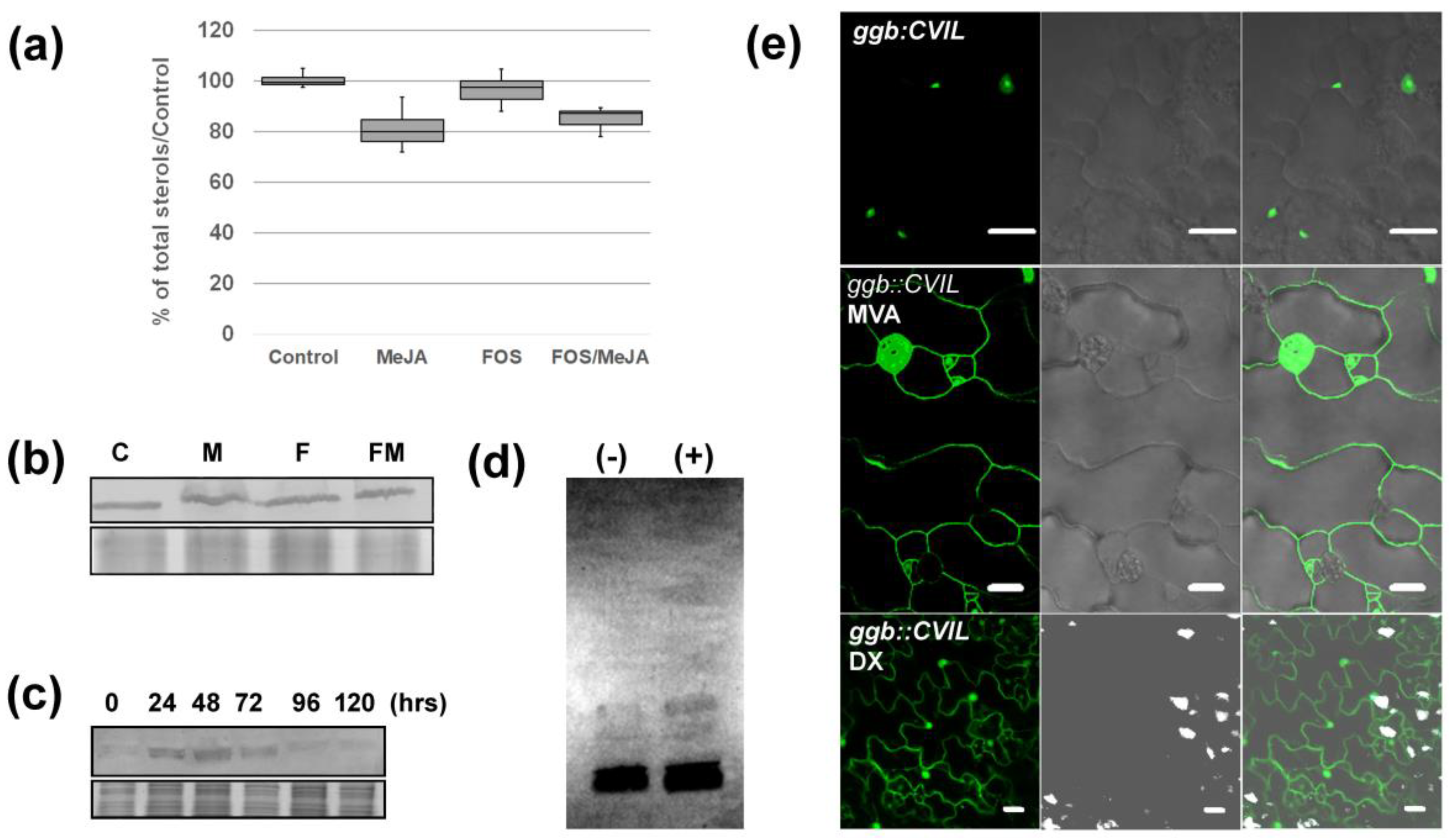 Preprints 95889 g005