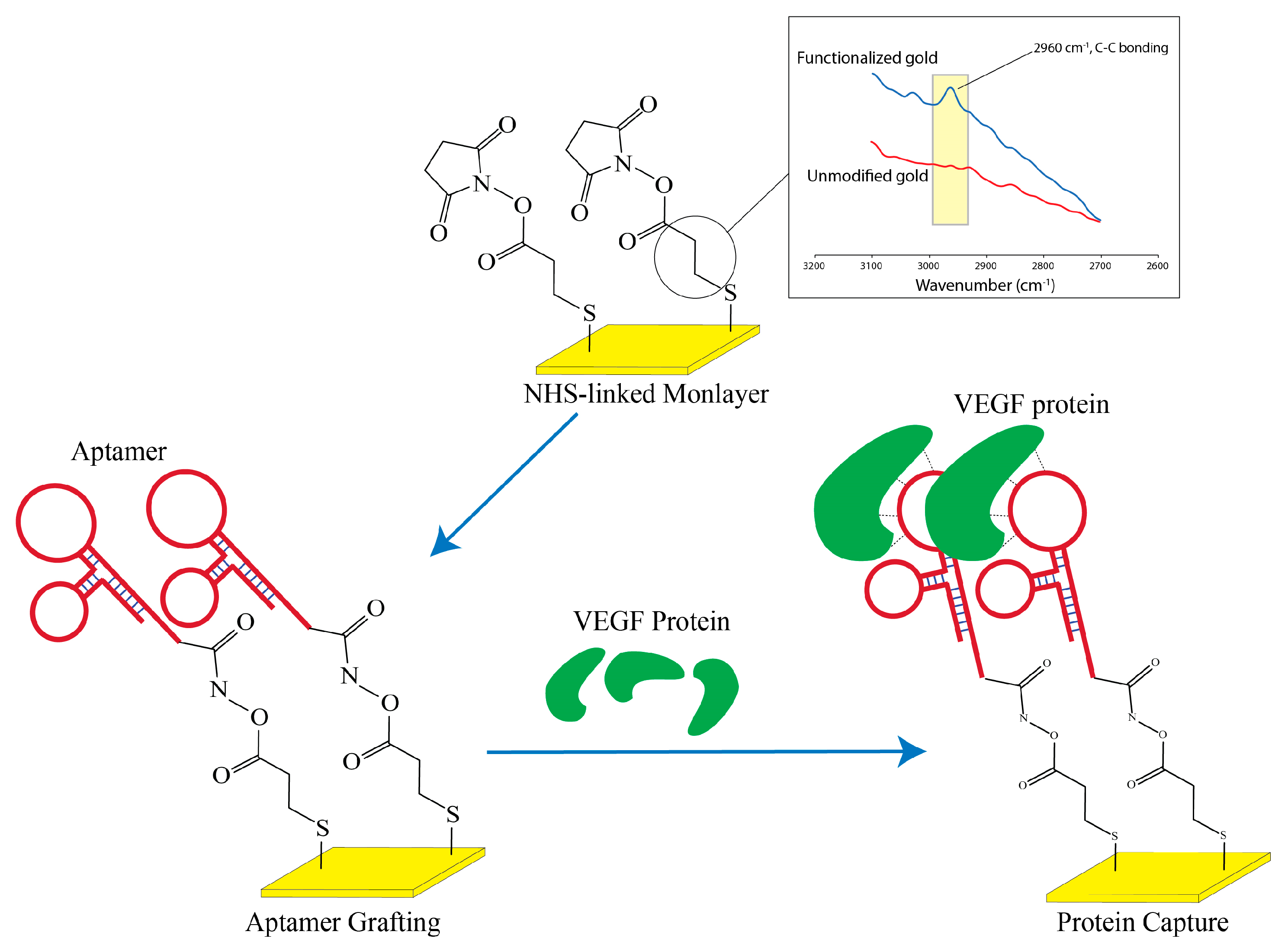 Preprints 75403 g004