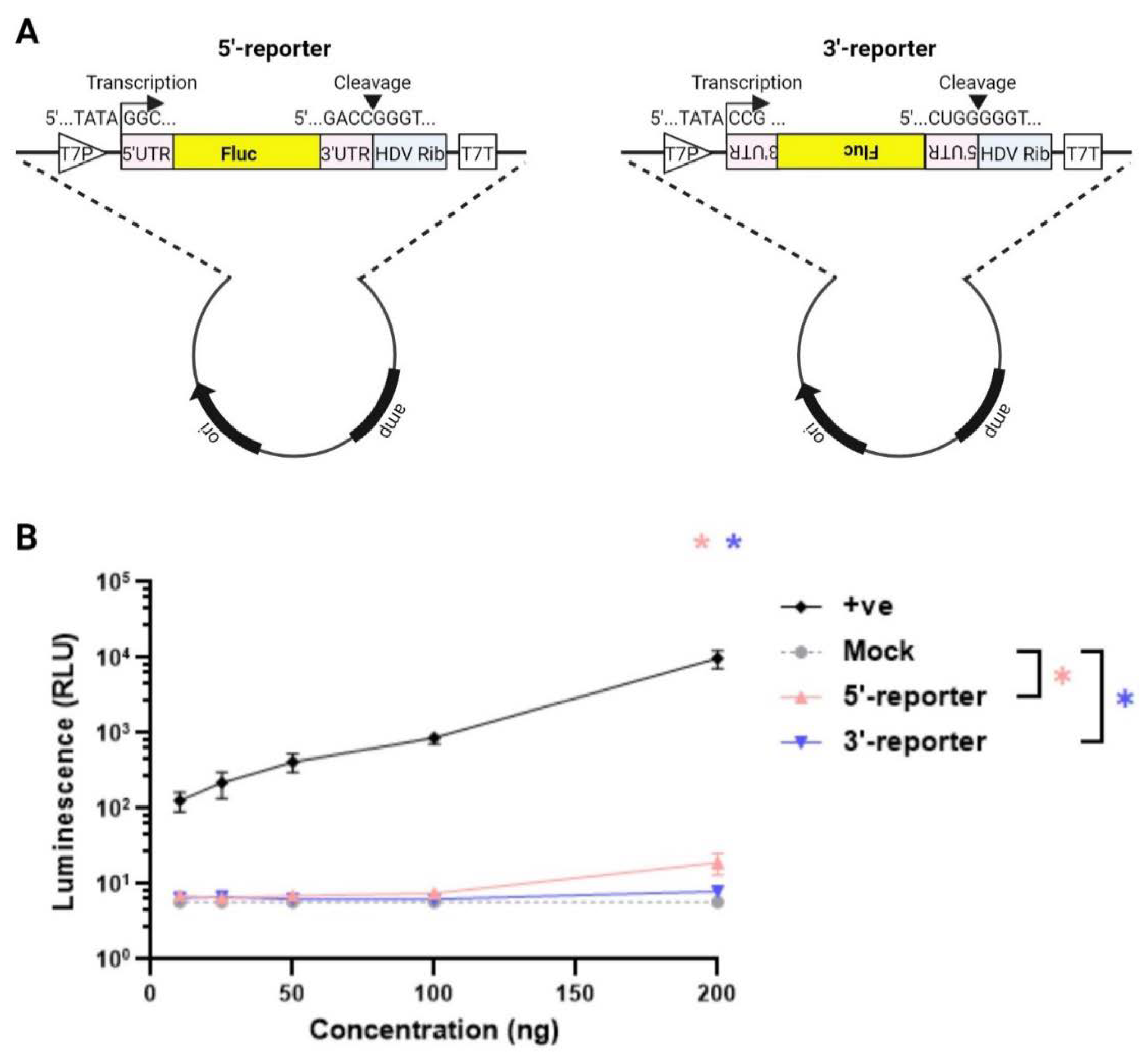 Preprints 105037 g001