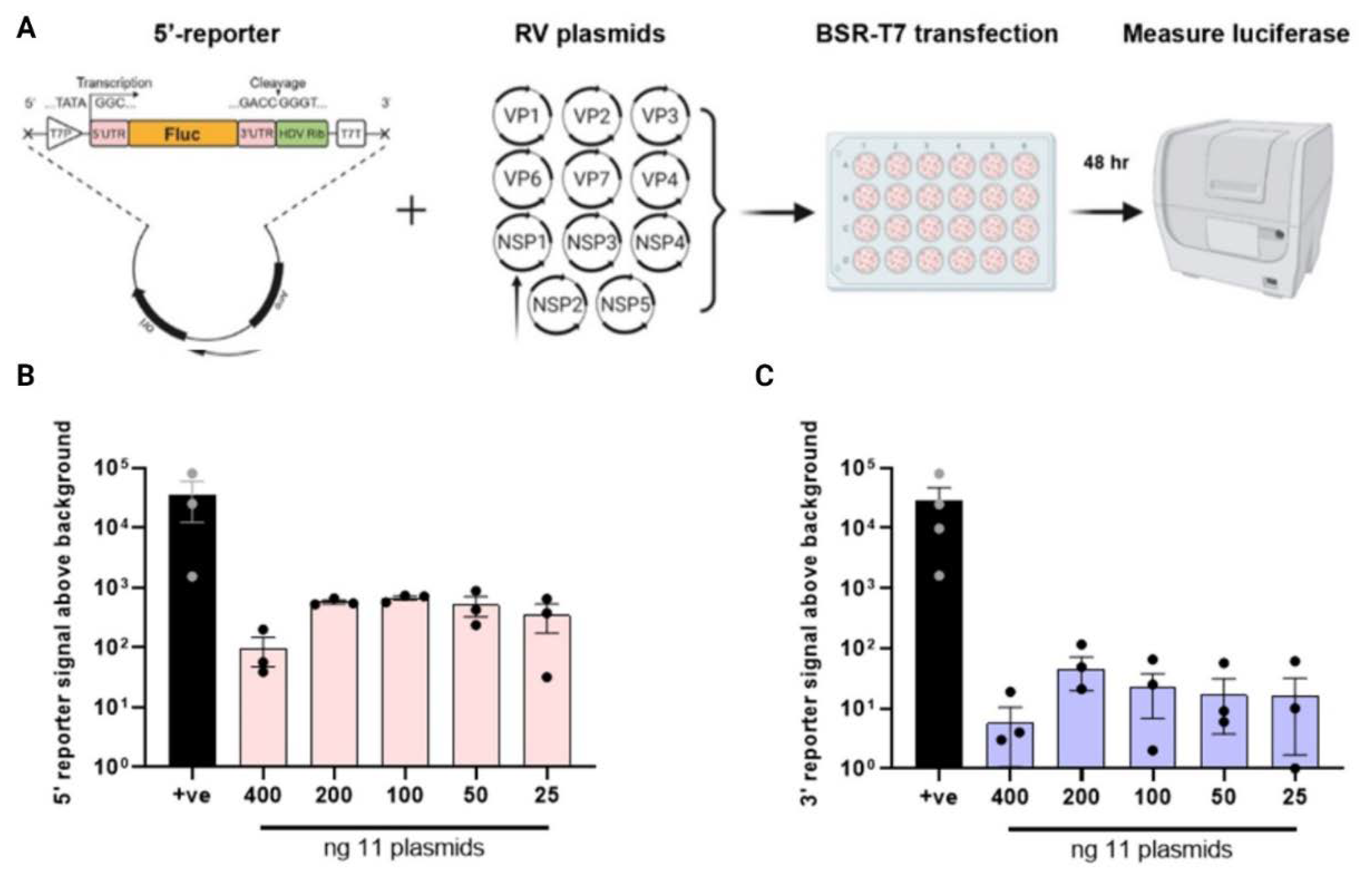 Preprints 105037 g002