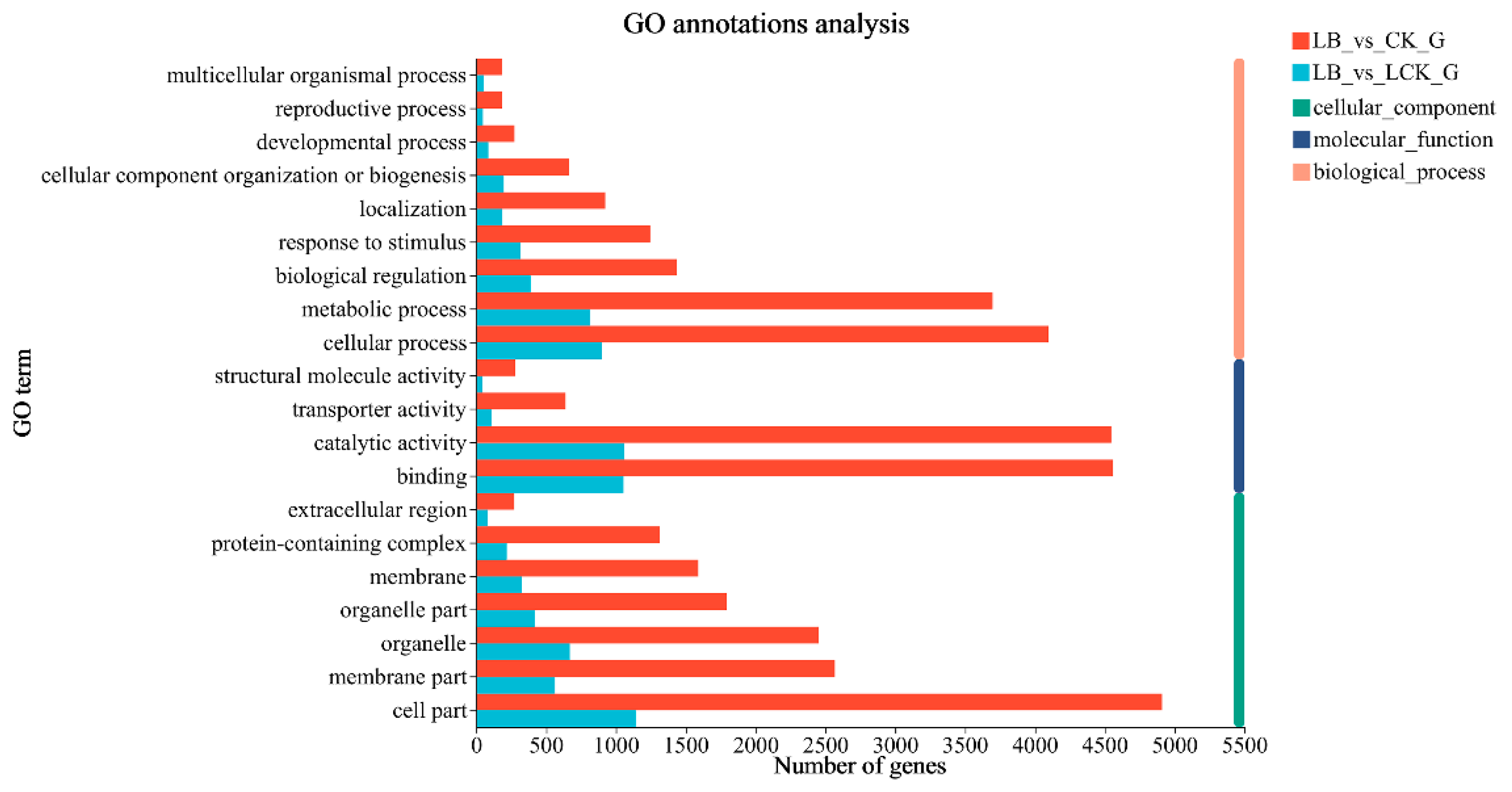 Preprints 116206 g005