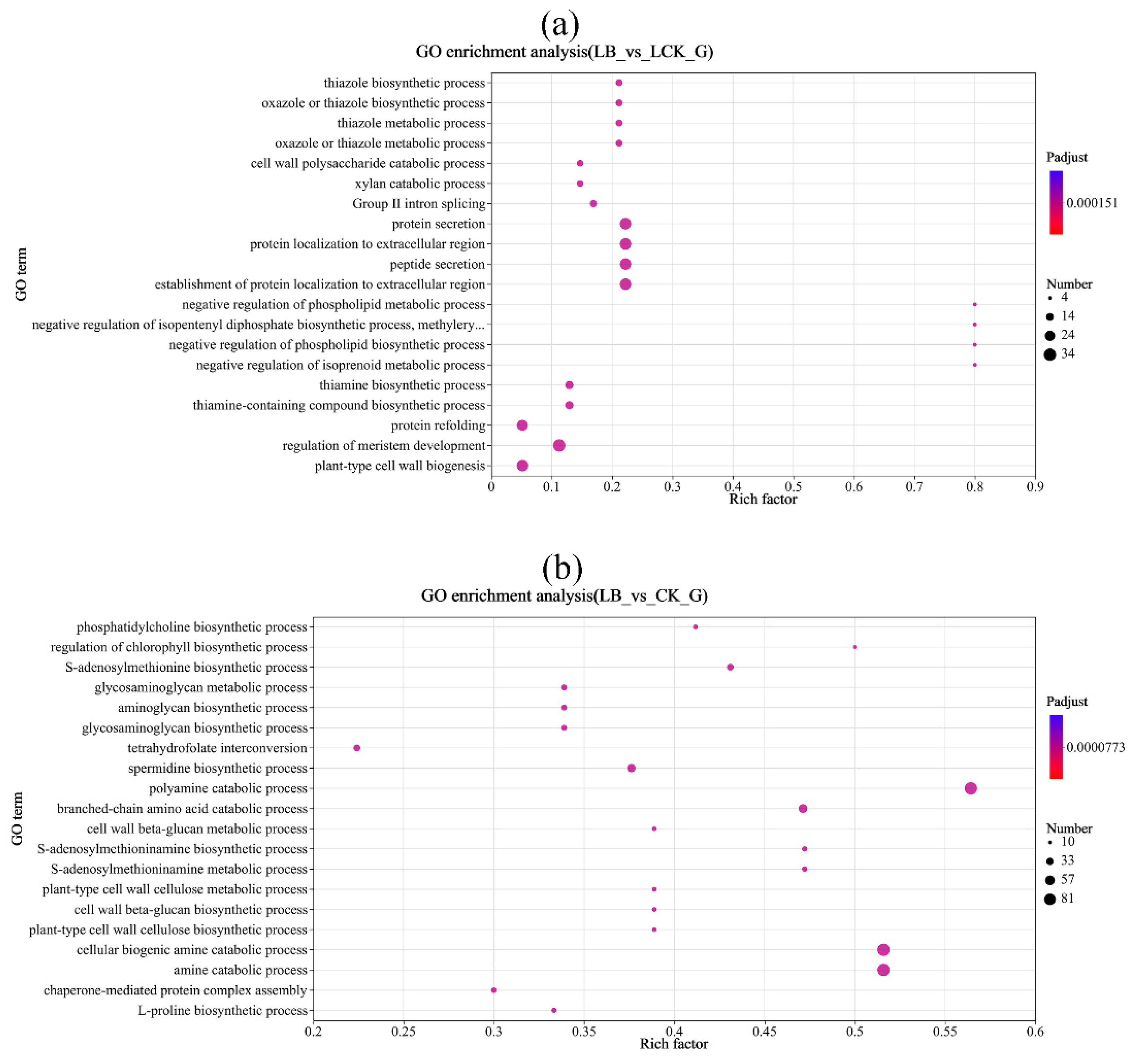 Preprints 116206 g006