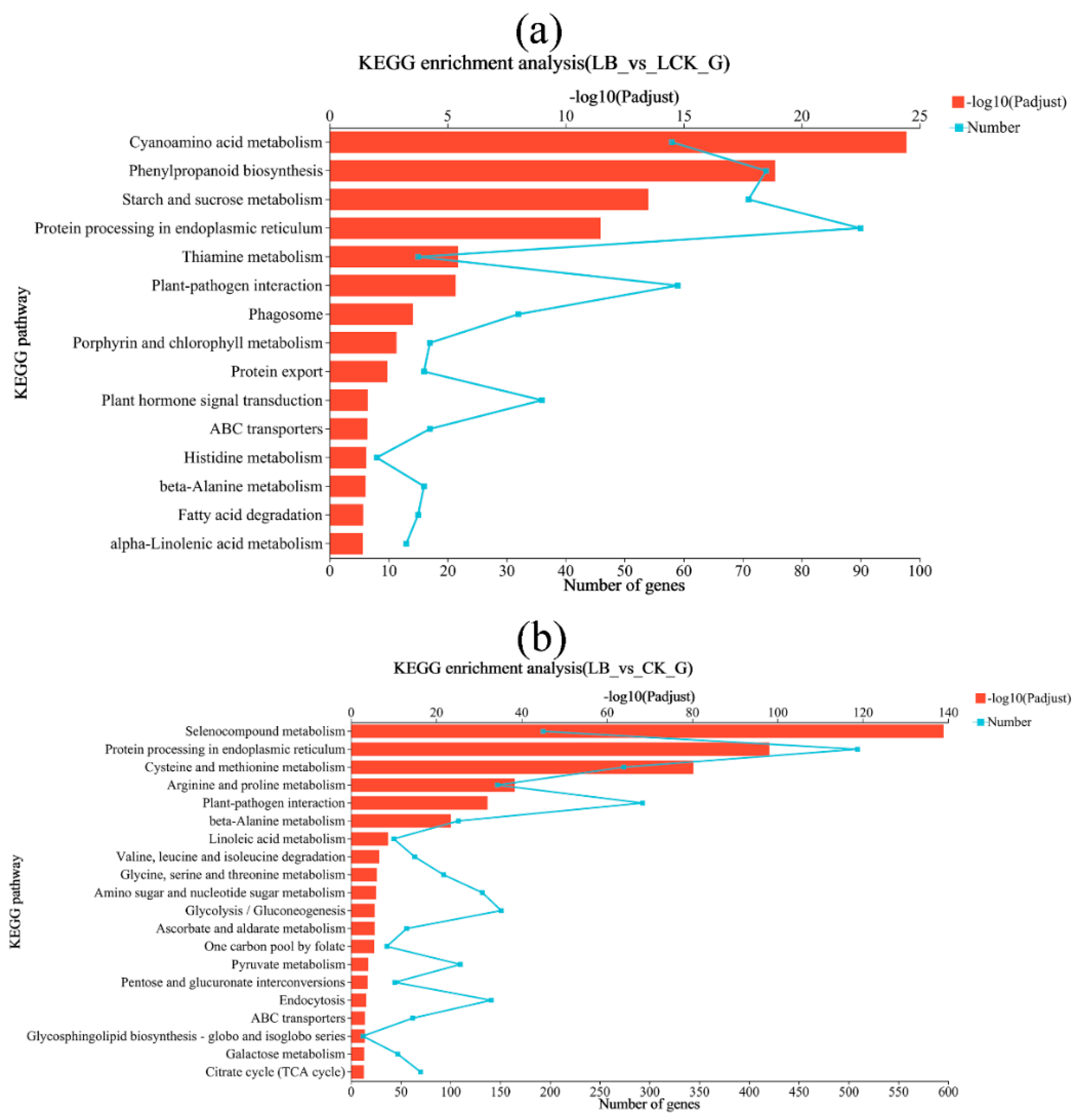 Preprints 116206 g007