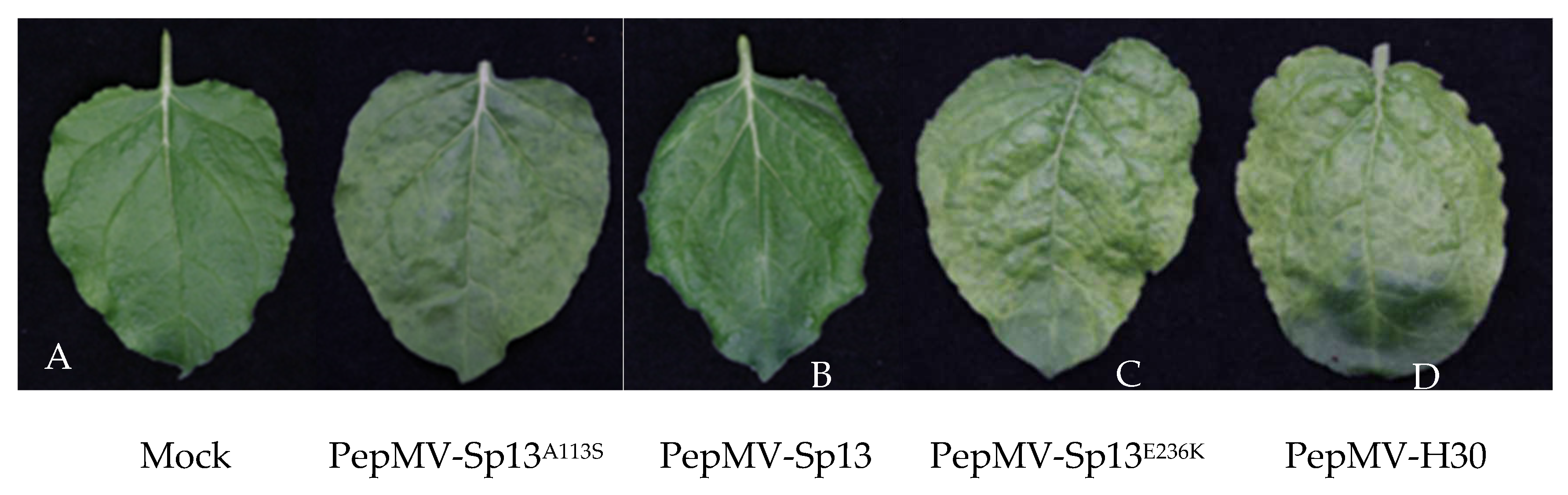 Preprints 87450 g003