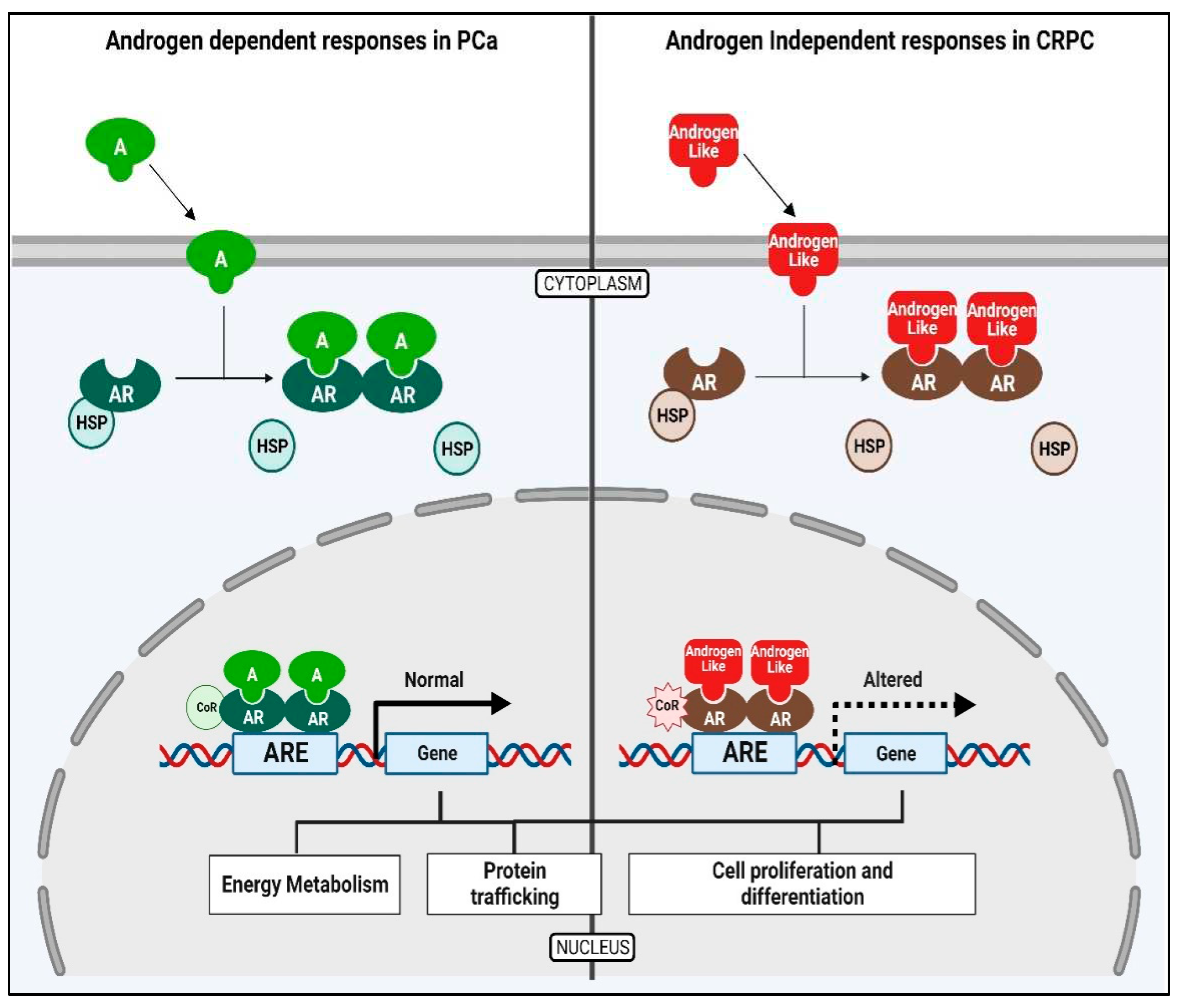 Preprints 97437 g003