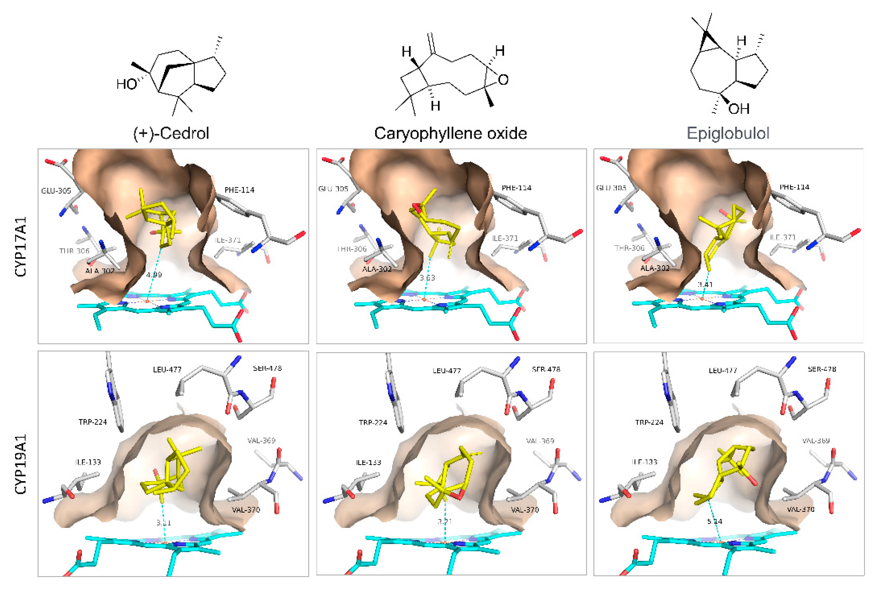 Preprints 97437 g005