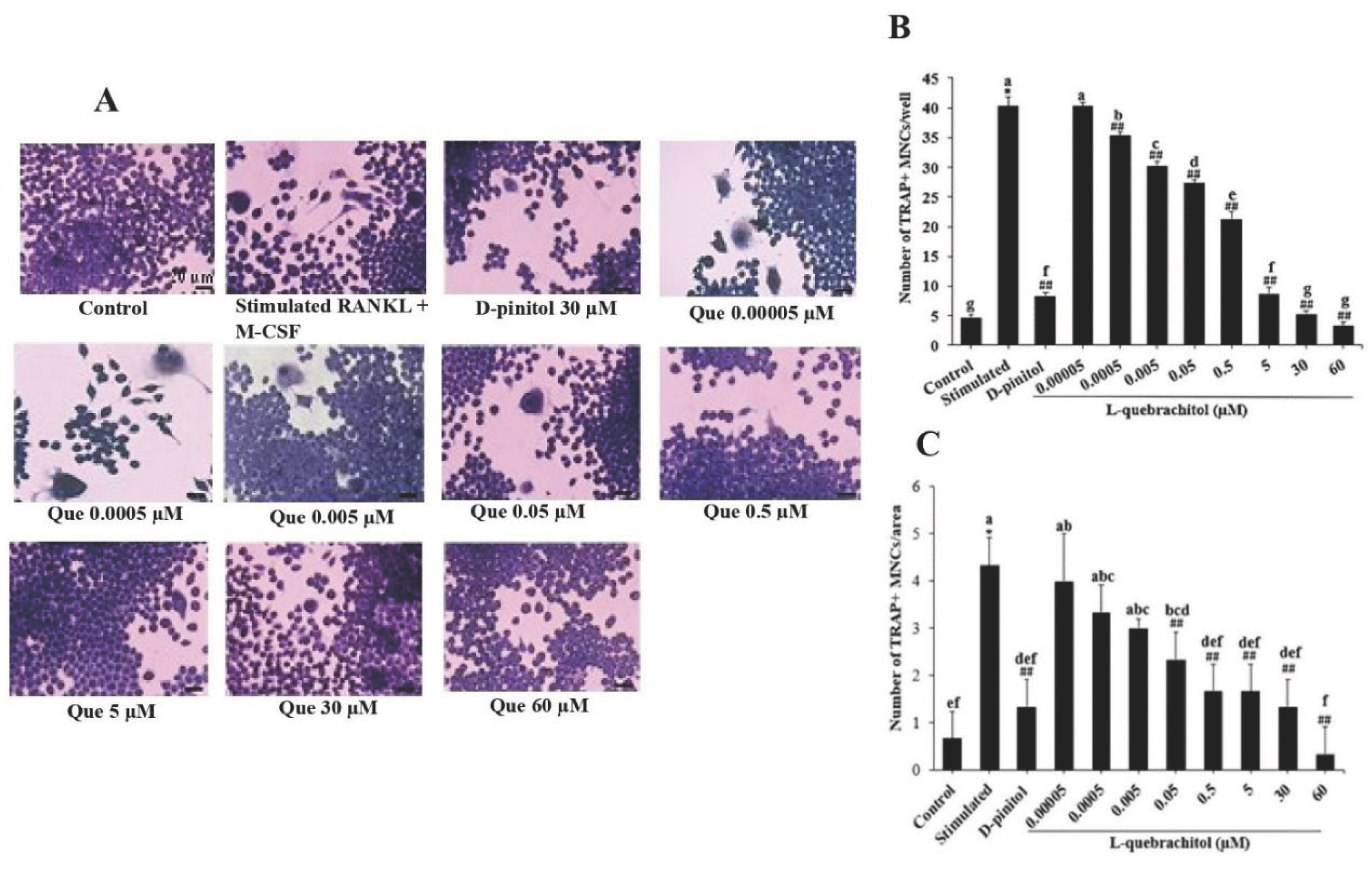 Preprints 99128 g002