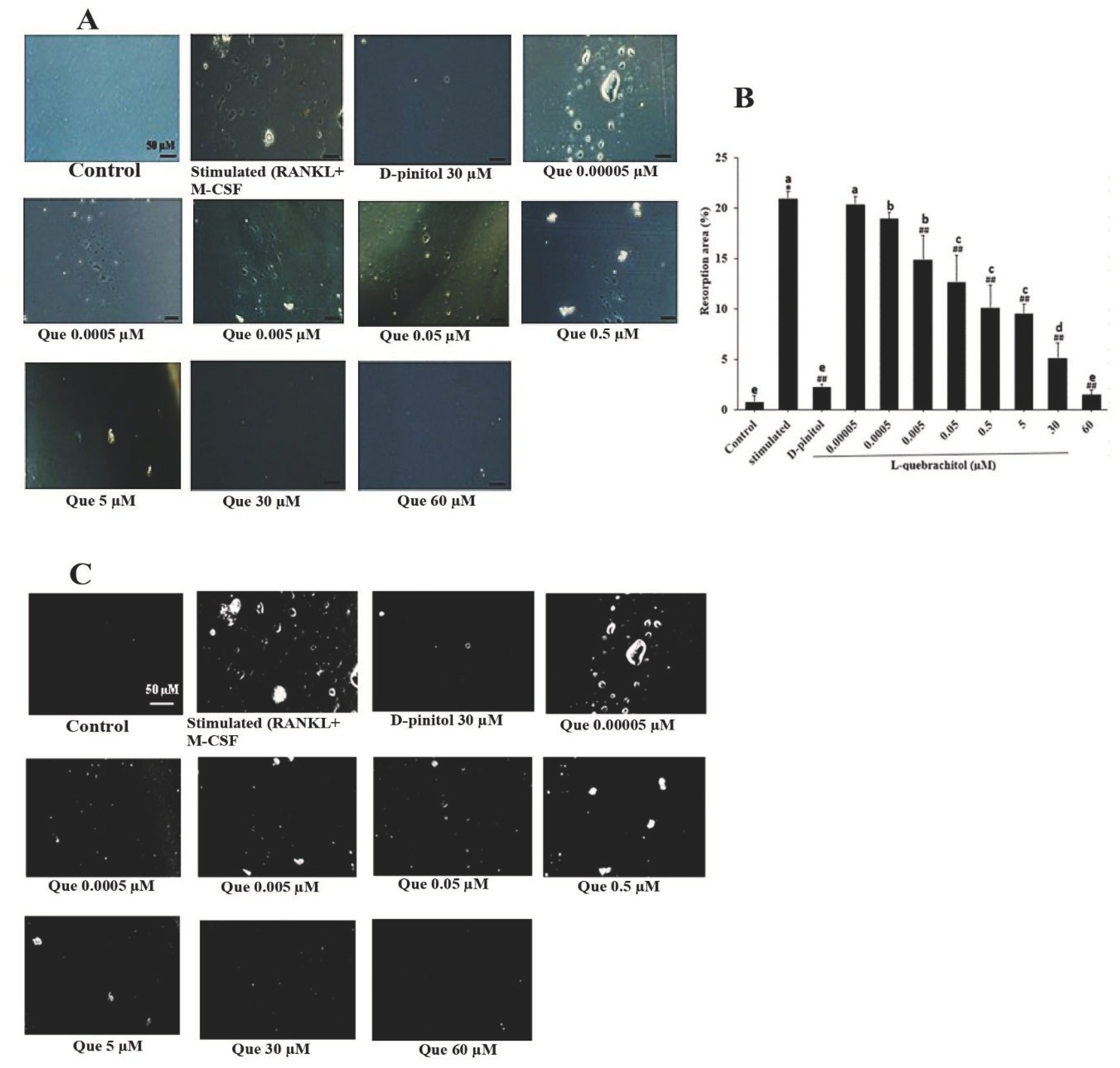 Preprints 99128 g003