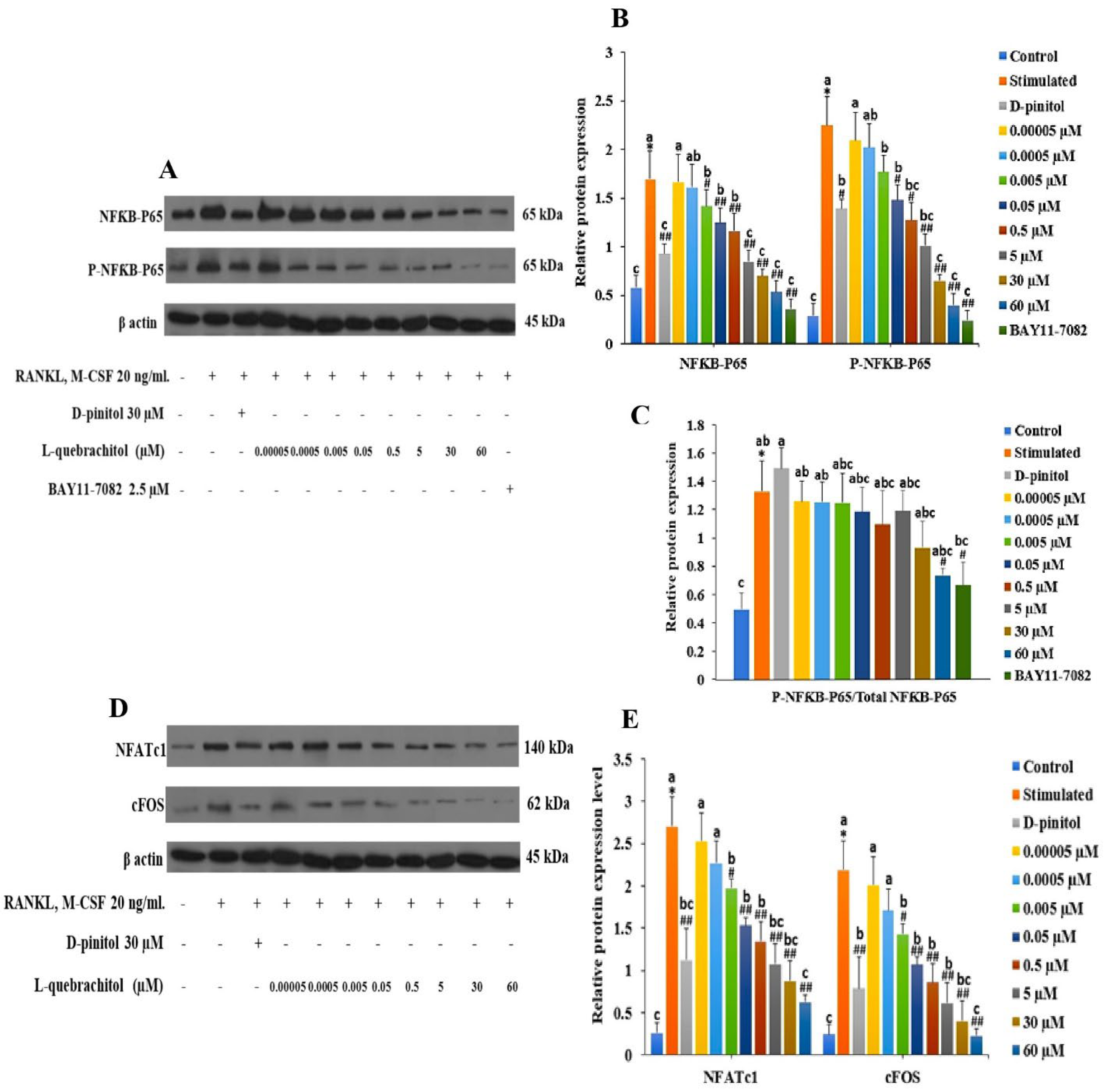 Preprints 99128 g006