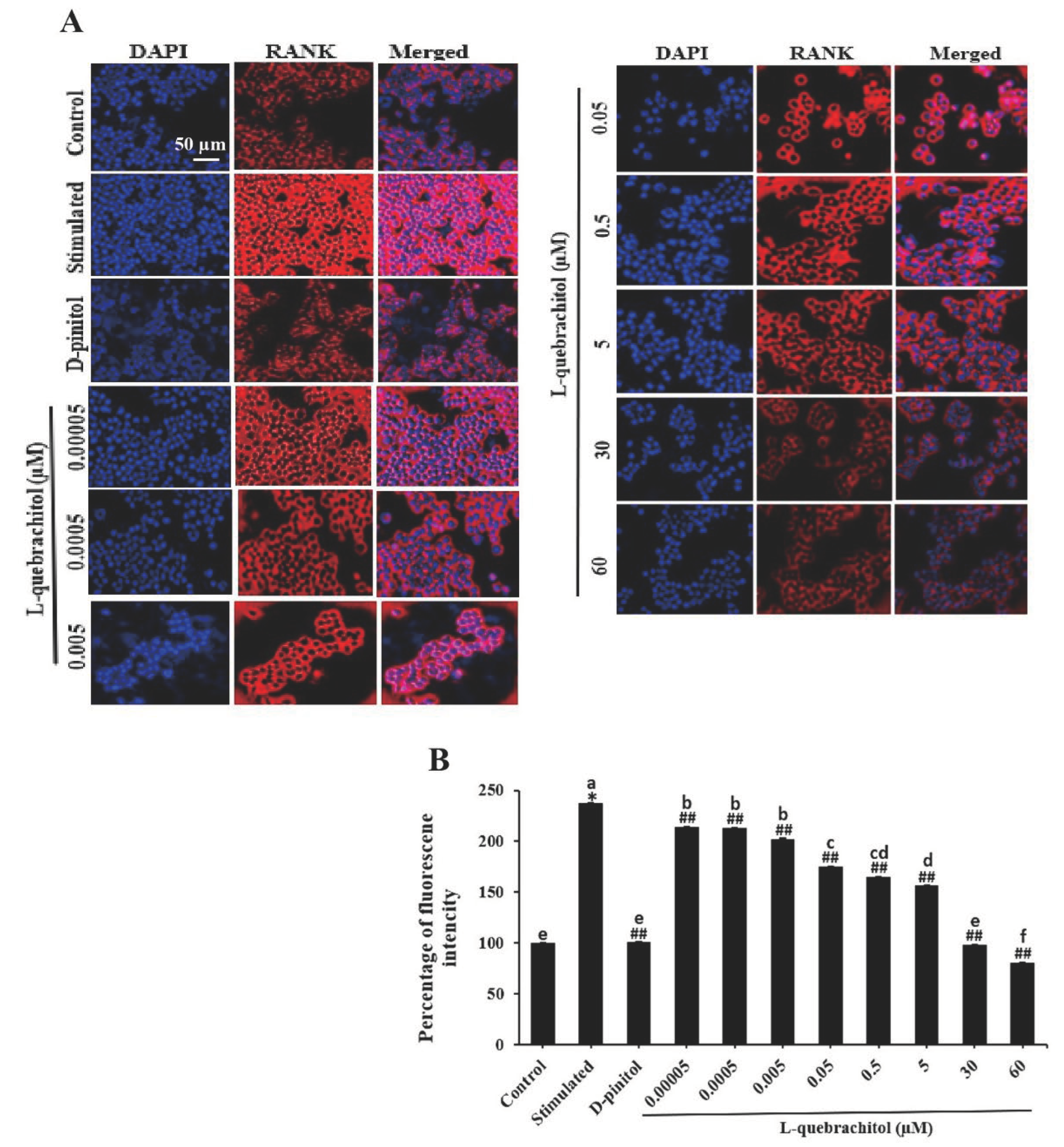 Preprints 99128 g007